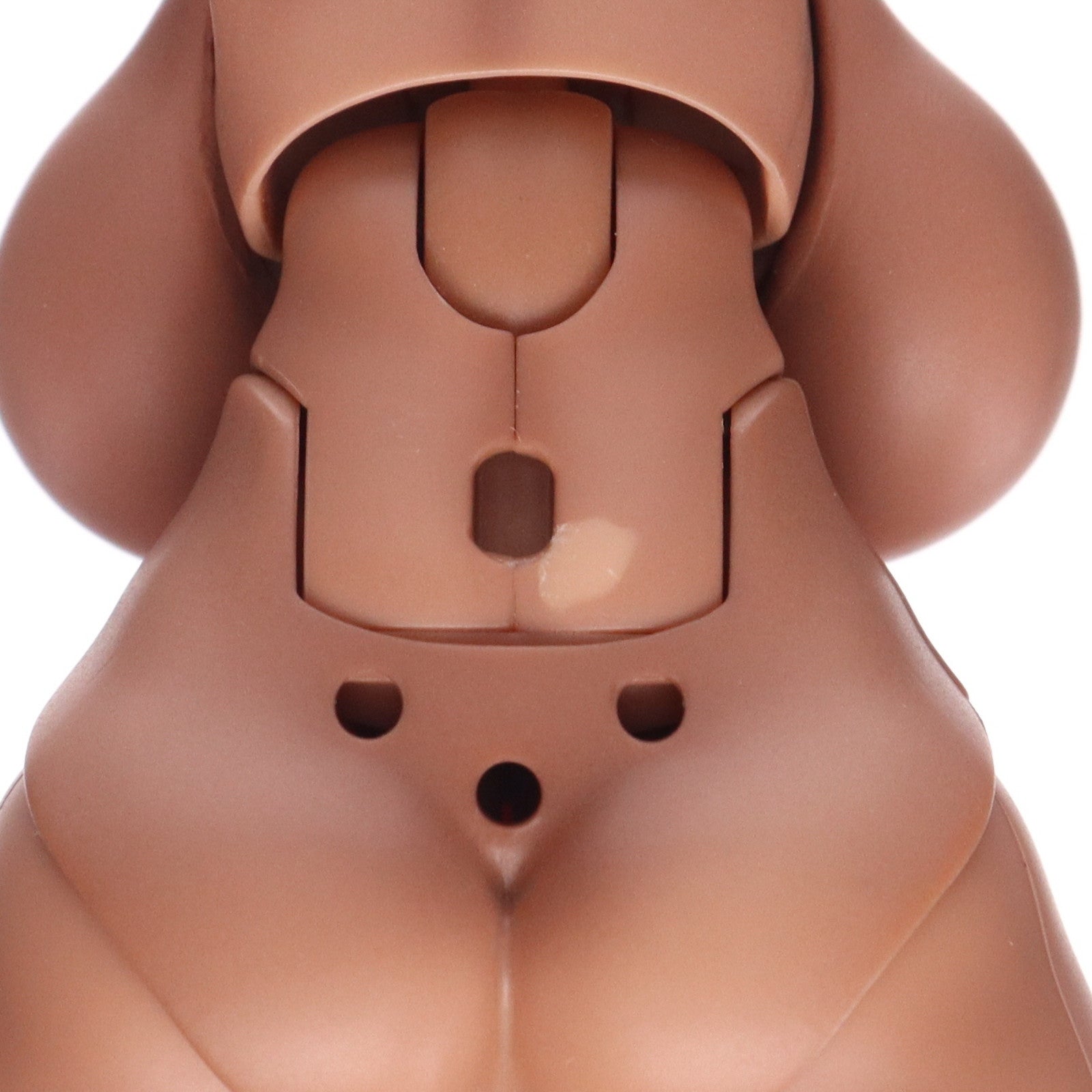 【中古即納】[FIG] ネイティブキャラクターズセレクション SECOND AXE式 HENTAI ACTION サキュバス女王 リズベット～褐色ver.～ 朝凪氏オリジナルキャラクター 完成品 可動フィギュア セカンドアックス/ネイティブ(20250517)