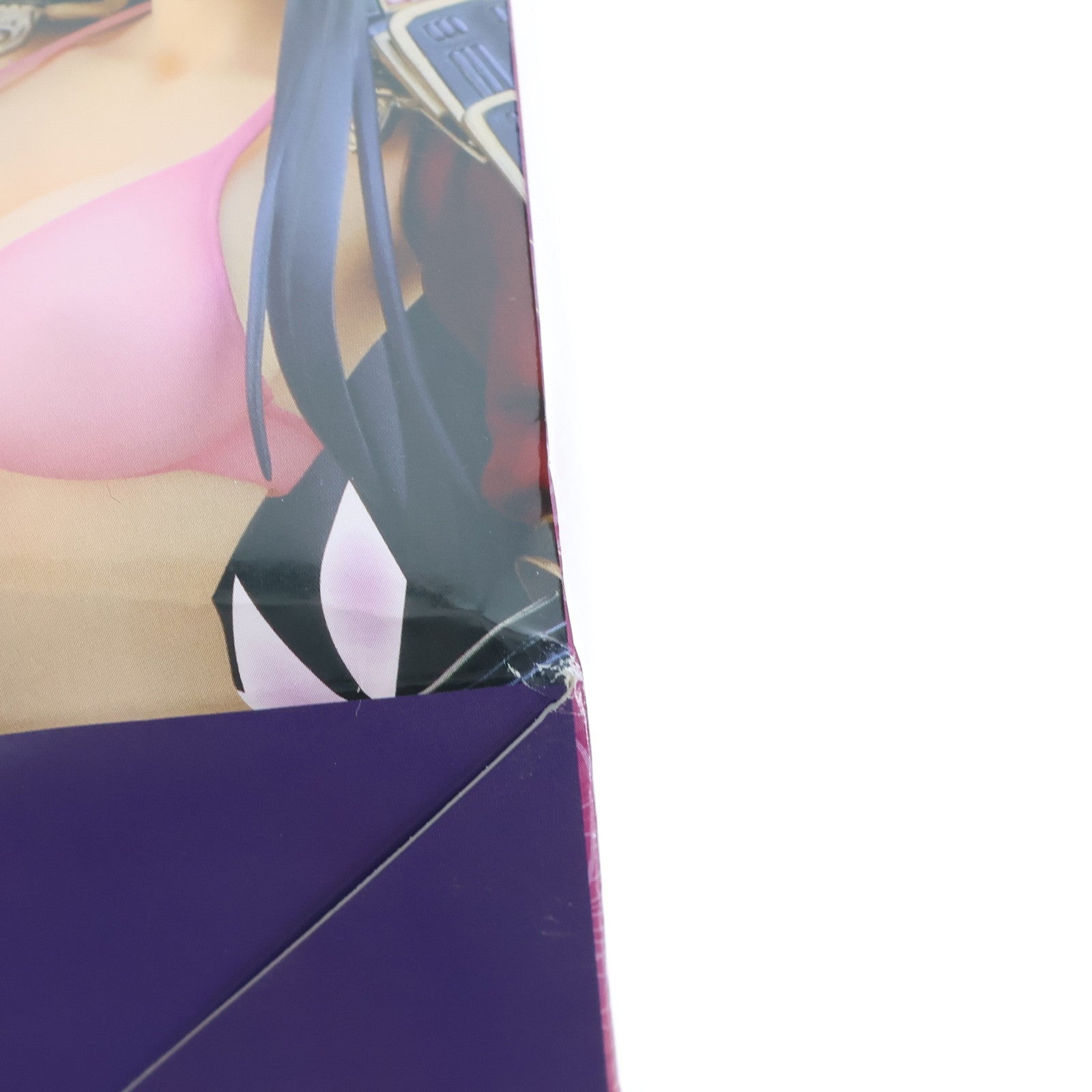 【中古即納】[FIG] ポストカード付属 龍造寺茜(りゅうぞうじあかね) ワルキューレロマンツェ[少女騎士物語] 1/5.5 完成品 フィギュア(AX-1009) SkyTube(スカイチューブ)(20160123)