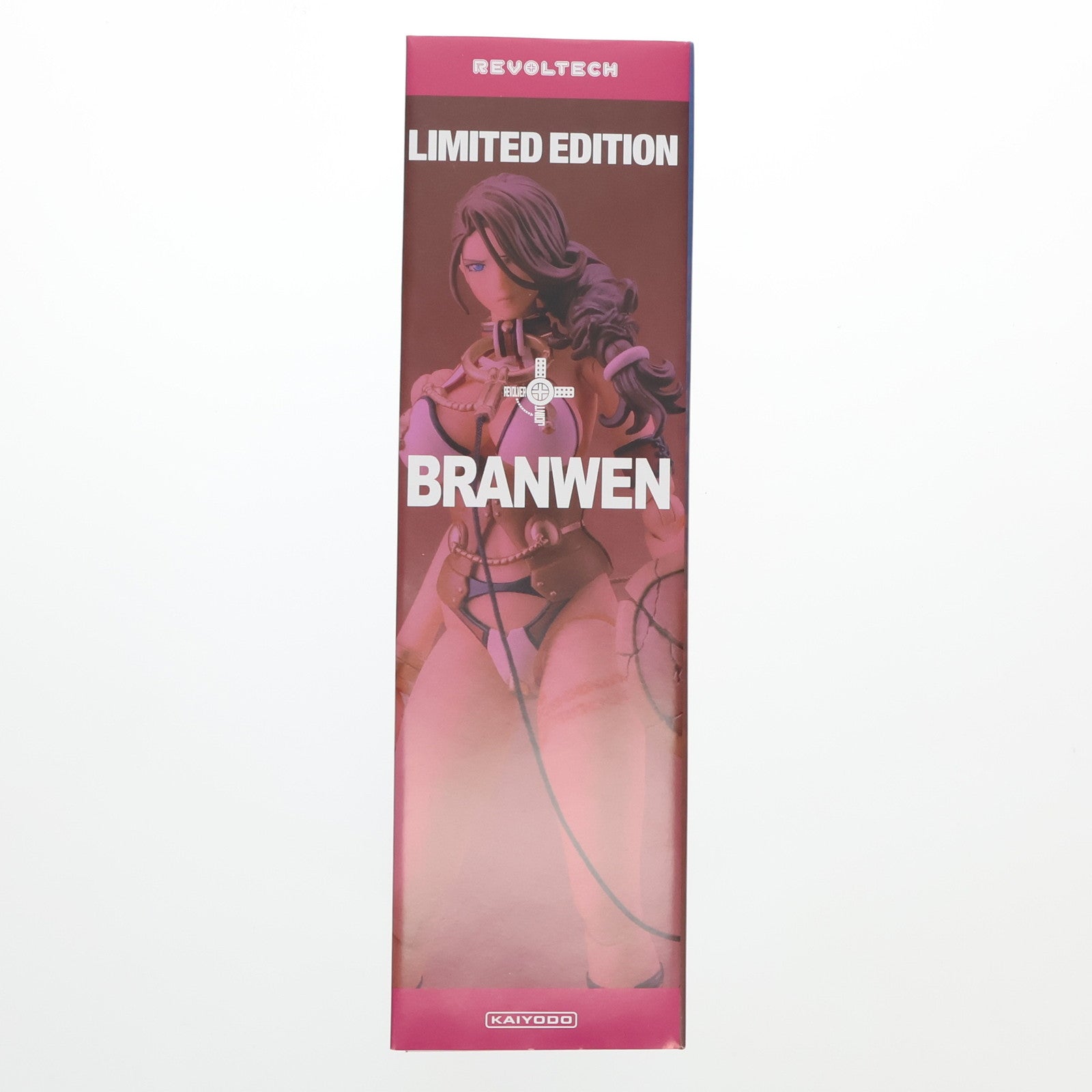 【中古即納】[FIG] ヴァンキッシュド・クイーンズ2 数量限定生産版(リボルテック ブランウェン付属) クイーンズブレイド リベリオン 1/12 完成品 可動フィギュア 書籍 ホビージャパン(20121130)