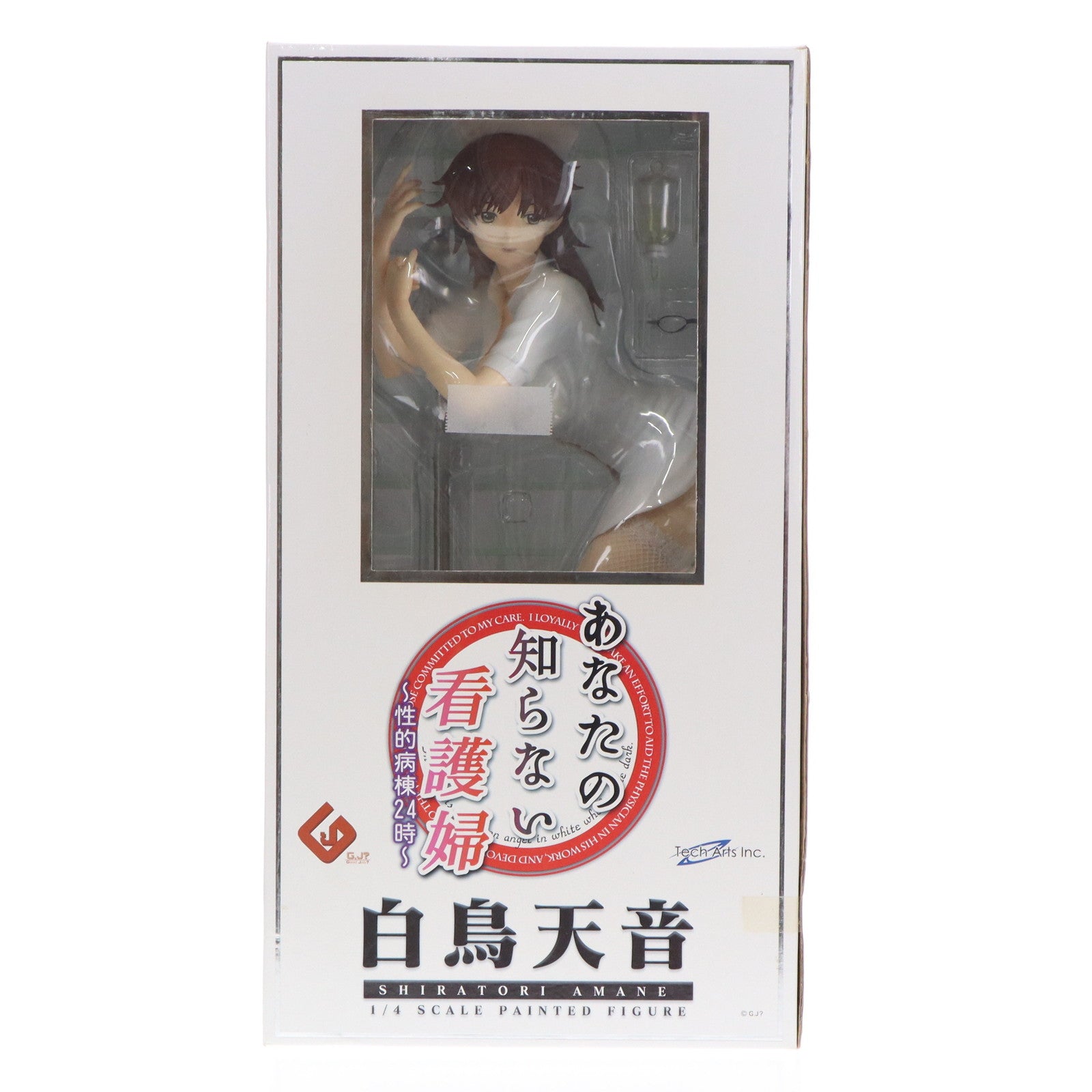 【中古即納】[FIG] 白鳥天音(しらとりあまね) あなたの知らない看護婦～性的病棟24時～ 1/4 完成品 フィギュア FREEing(フリーイング)(20111229)