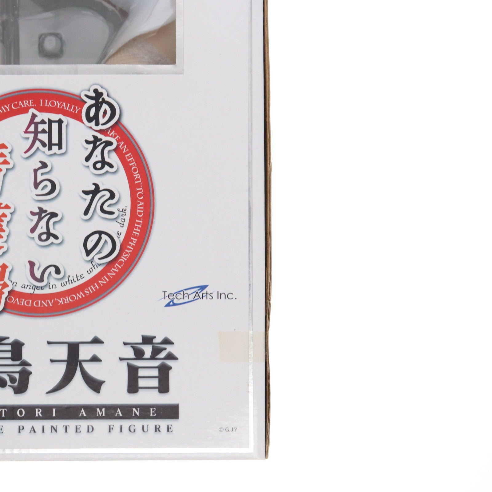 【中古即納】[FIG] 白鳥天音(しらとりあまね) あなたの知らない看護婦～性的病棟24時～ 1/4 完成品 フィギュア FREEing(フリーイング)(20111229)