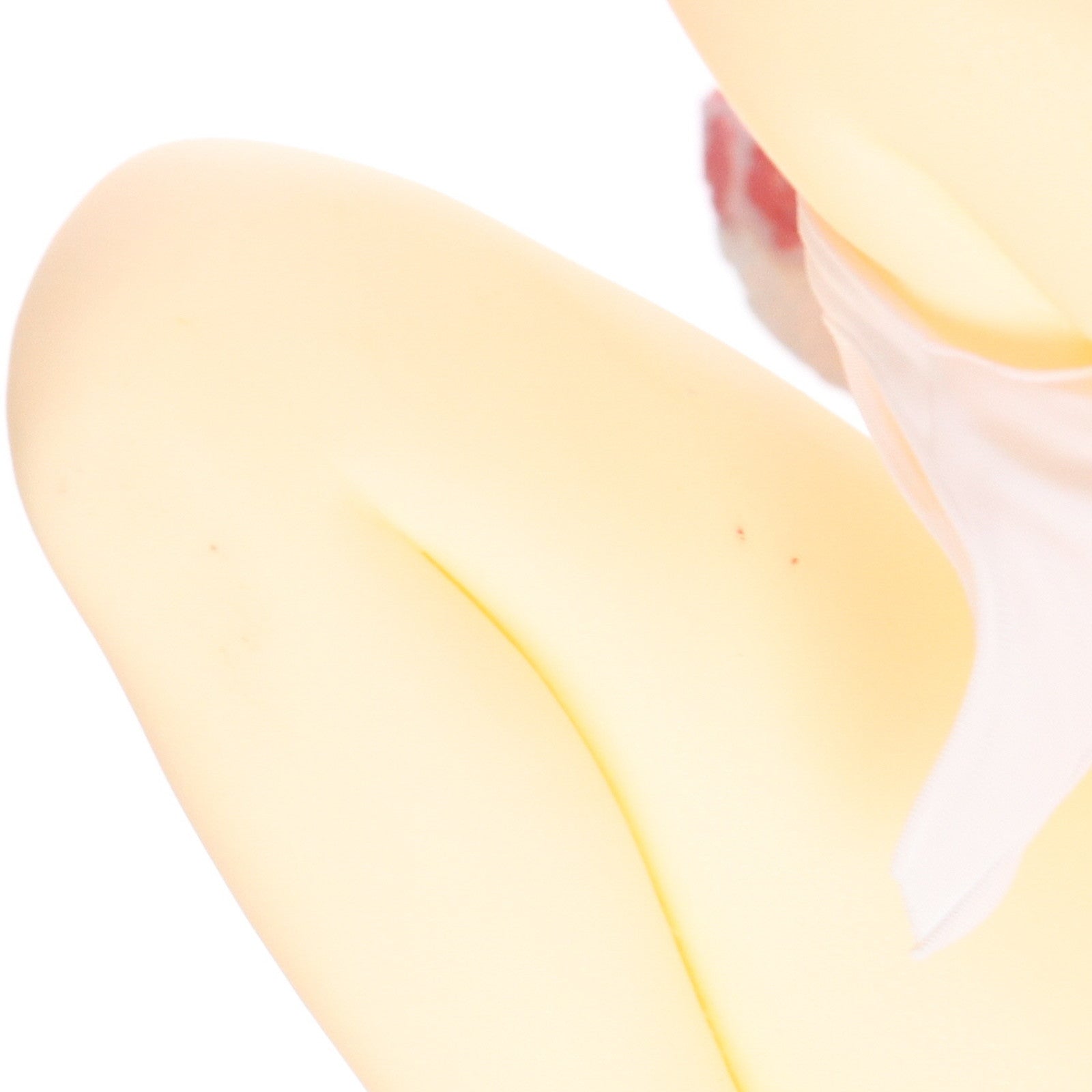 【中古即納】[FIG] 肉感少女 お誘い上手なあかりちゃん 1/6 完成品 フィギュア インサイト(20240831)