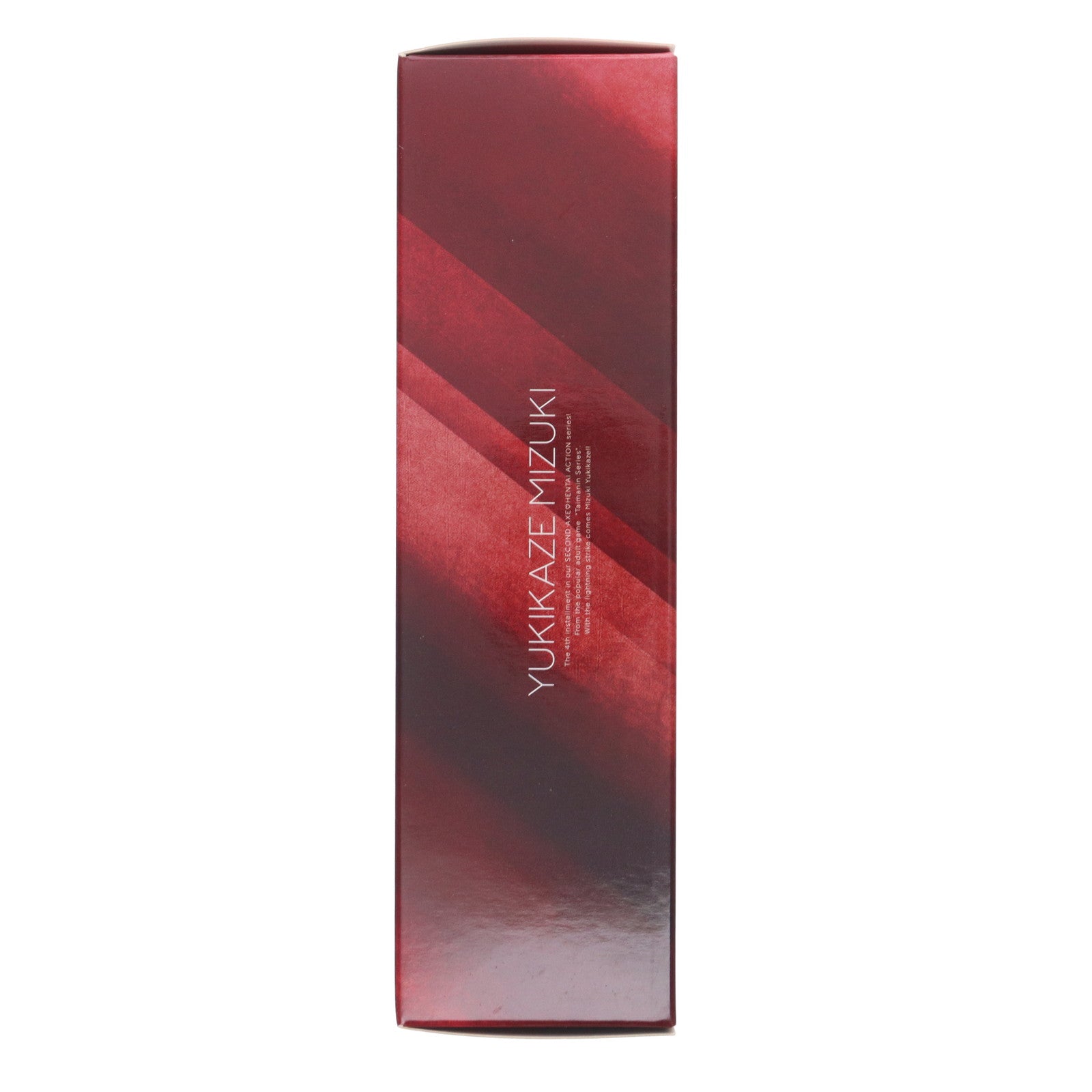 【中古即納】[FIG] ポストカード無し SECOND AXE式 HENTAI ACTION 水城ゆきかぜ(みずきゆきかぜ)+専用オプションパーツセット 対魔忍シリーズ 完成品 可動フィギュア(LFG-10019a) セカンドアックス/ネイティブ(20220531)