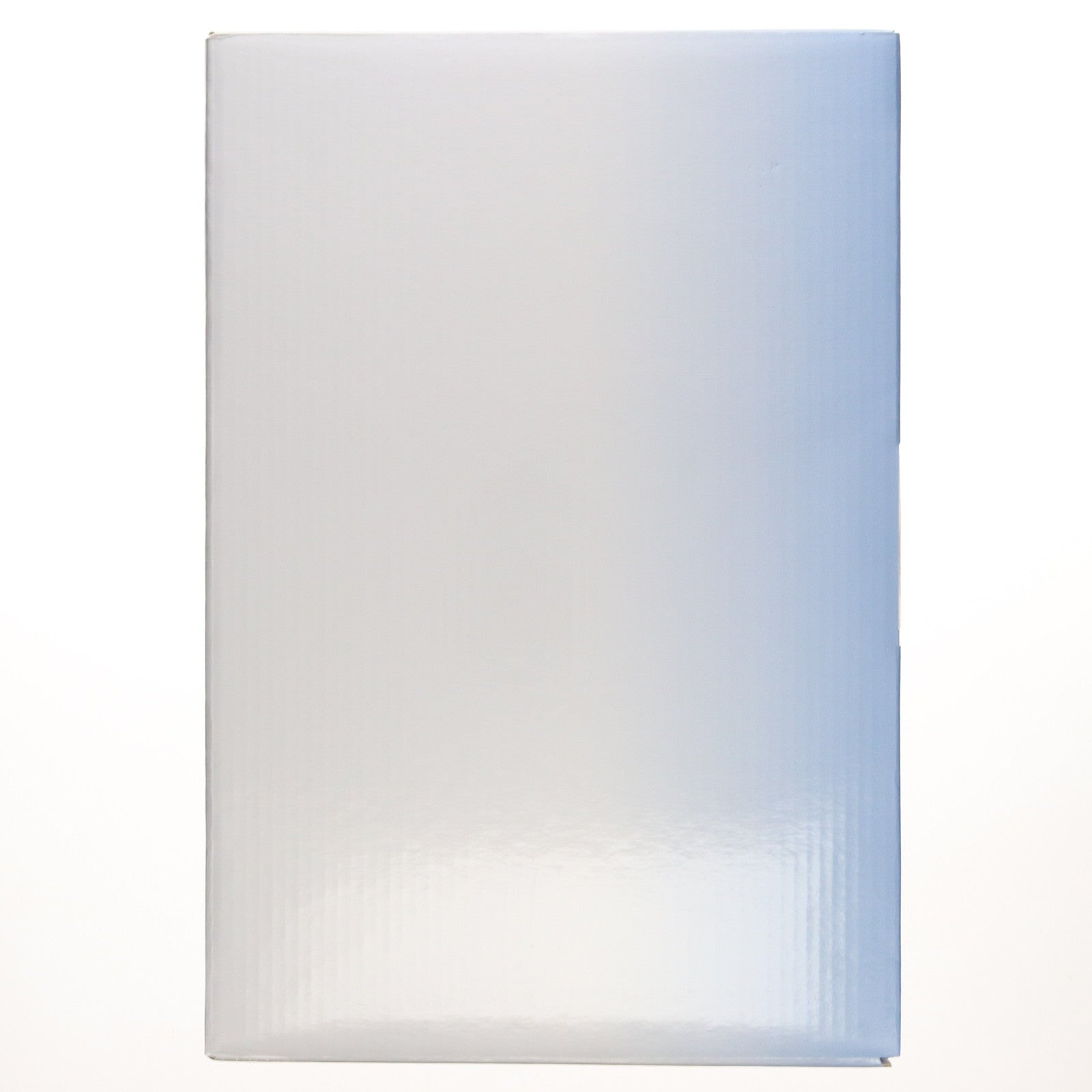 【中古即納】[FIG] ポストカード付属 ミサ姉 RAITAオリジナルキャラクター(魔法少女シリーズ) 1/7 完成品 フィギュア ネイティブオンラインショップ限定 ネイティブ(20121231)