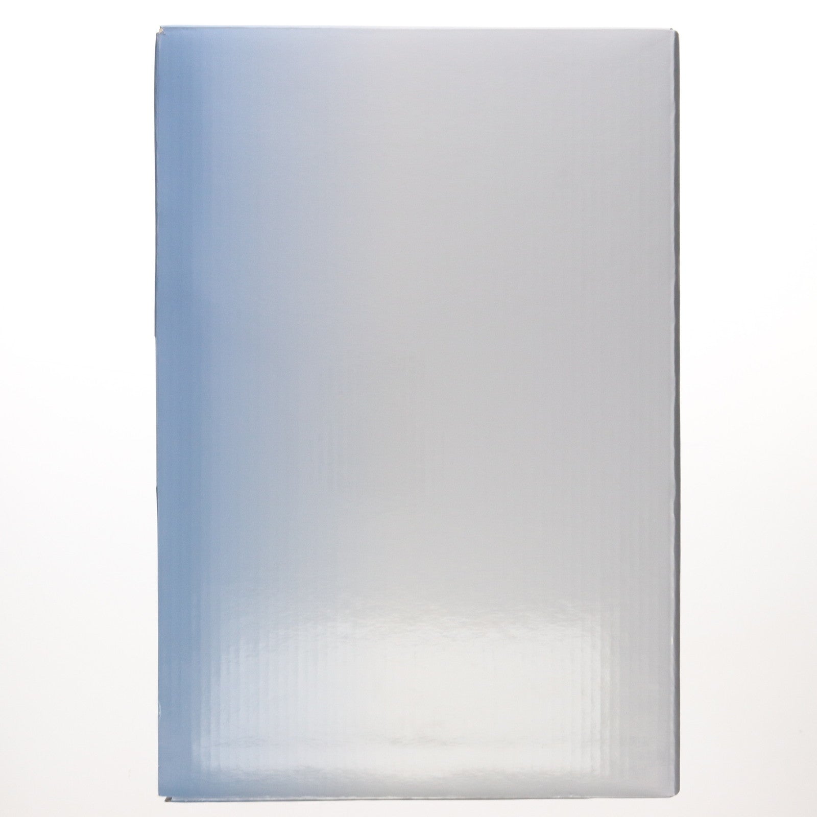 【中古即納】[FIG] ポストカード付属 ミサ姉 RAITAオリジナルキャラクター(魔法少女シリーズ) 1/7 完成品 フィギュア ネイティブオンラインショップ限定 ネイティブ(20121231)