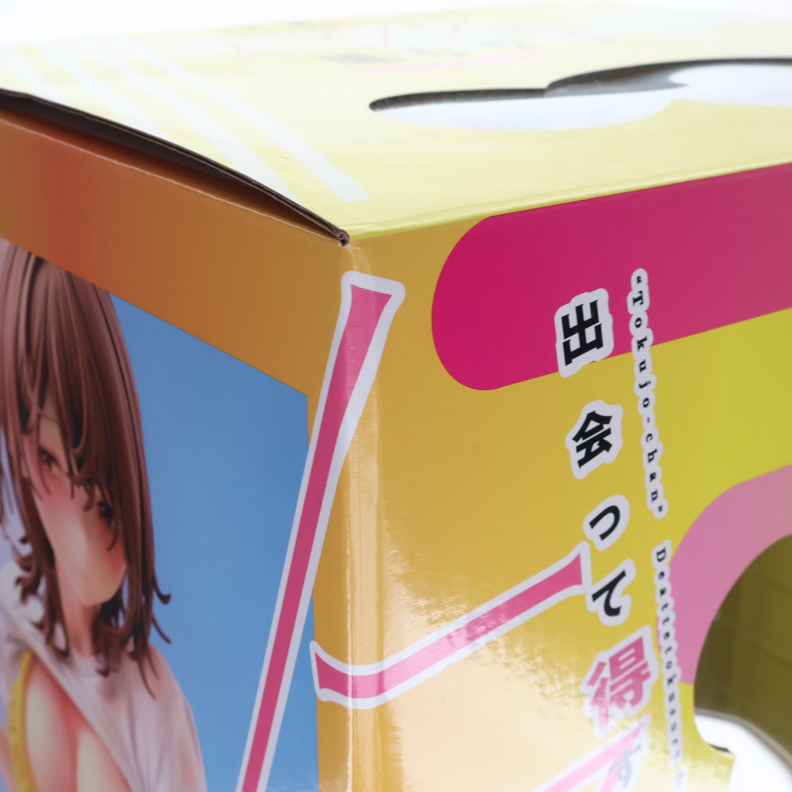 【中古即納】[FIG] あみあみ限定特典付属 出会って得する女の子 トクジョちゃん 鳳ひなこ(おおとりひなこ) illustration 猫麦 1/6 完成品 フィギュア ダイキ工業(20240930)