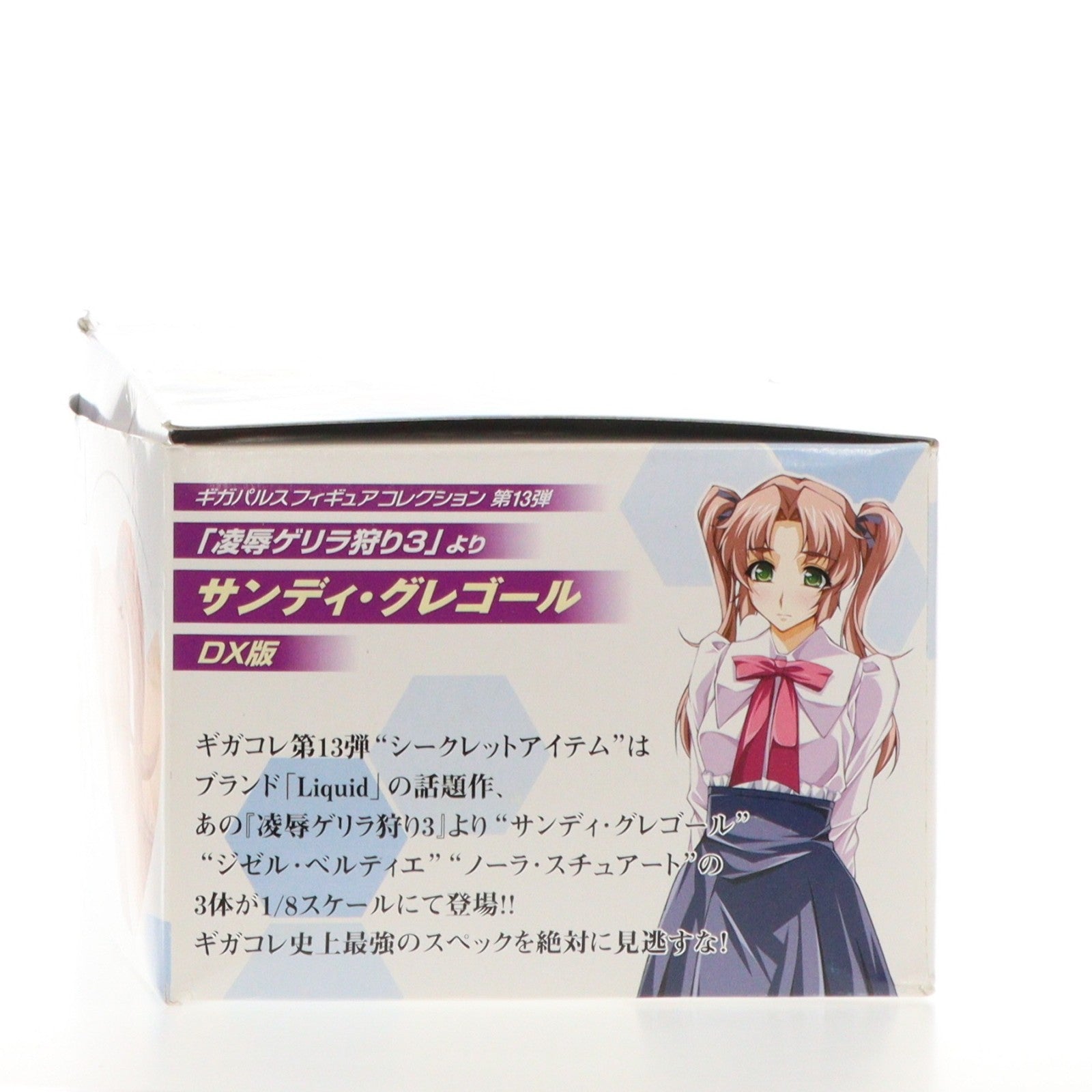 【中古即納】[FIG] ギガパルスフィギュアコレクション 第13弾 サンディ・グレゴール DX版 　　ゲリラ狩り3 1/8 完成品 フィギュア ギガパルス(20081028)