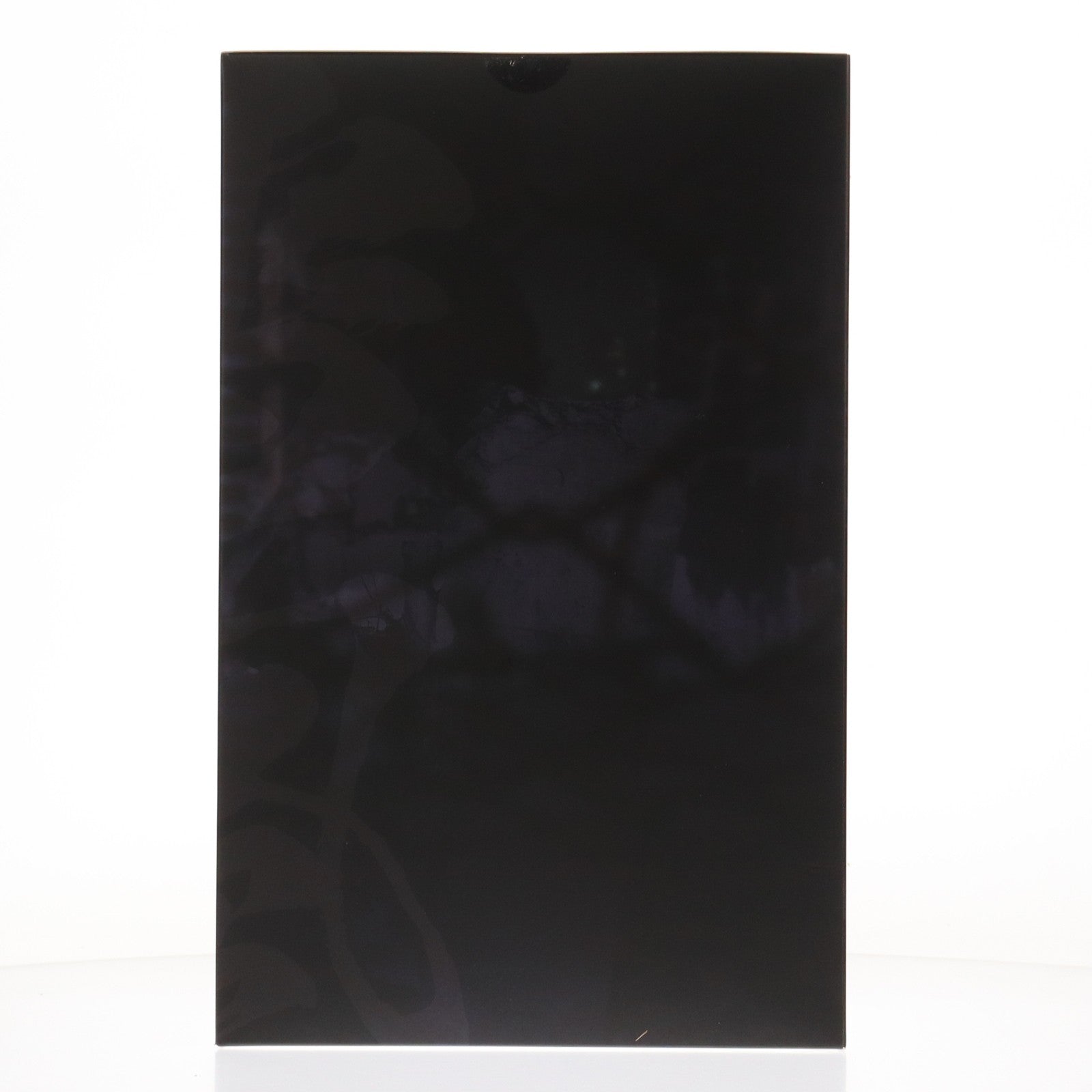 【中古即納】[FIG] ポストカード付属 ネイティブキャラクターズセレクション 大人ゆきかぜ 対魔忍RPGX 1/6 完成品 フィギュア のくちゅるぬ/ネイティブ(20260124)