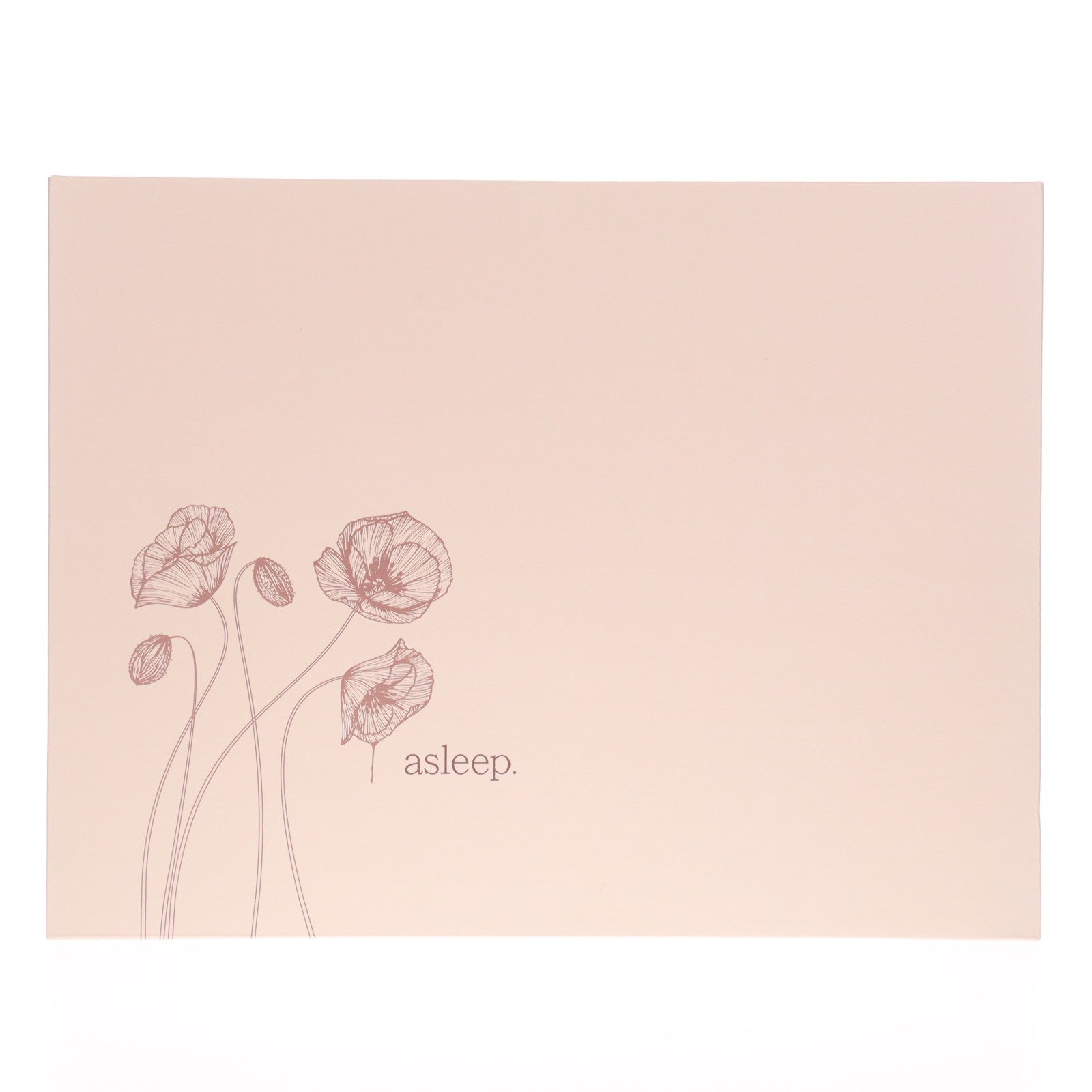 【中古即納】[FIG] ポストカード無し クリエイターズコレクション asleep.(アスリープ) 天三月オリジナルキャラクター 1/6 完成品 フィギュア ネイティブオンラインショップ&FANZA限定 マジックバレット/ネイティブ(20240831)