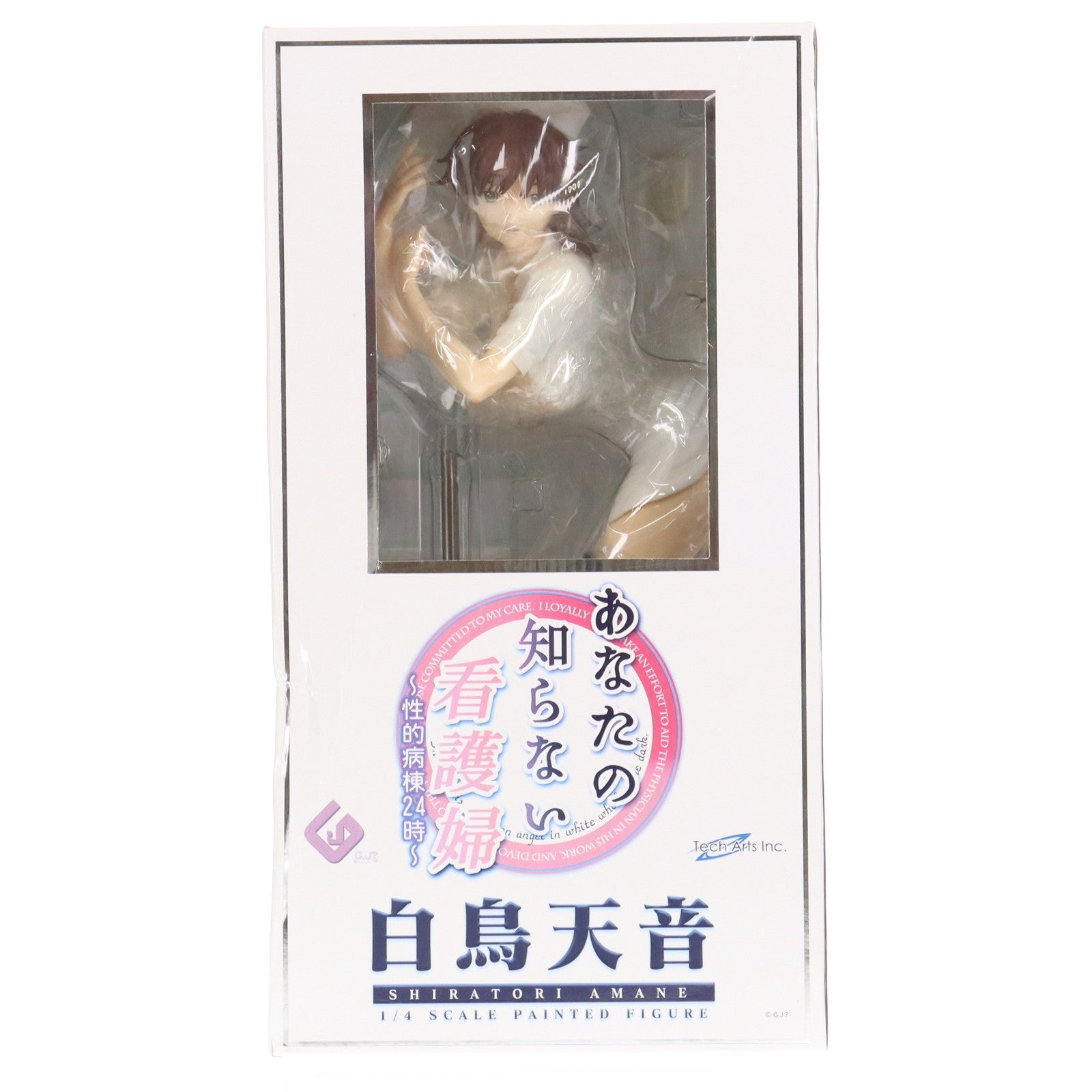 【中古即納】[FIG] 白鳥天音(しらとりあまね) あなたの知らない看護婦～性的病棟24時～ 1/4 完成品 フィギュア FREEing(フリーイング)(20111229)