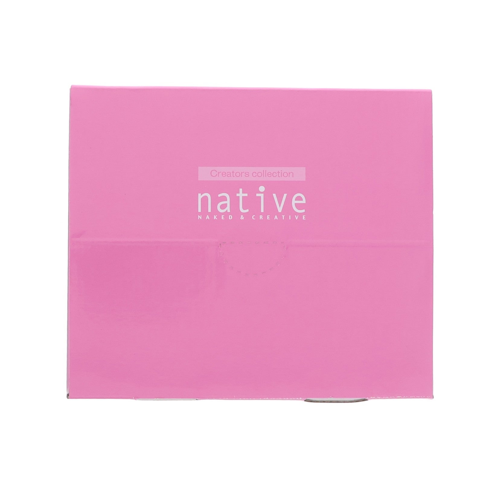 【中古即納】[FIG] ポストカード付属 ネイティブクリエイターズコレクション ミニ智恵(ちえ) -native 15th anniversary- 石恵オリジナルキャラクター 1/10 完成品 フィギュア ネイティブオンラインショップ&FANZA限定 ネイティブ(20221130)