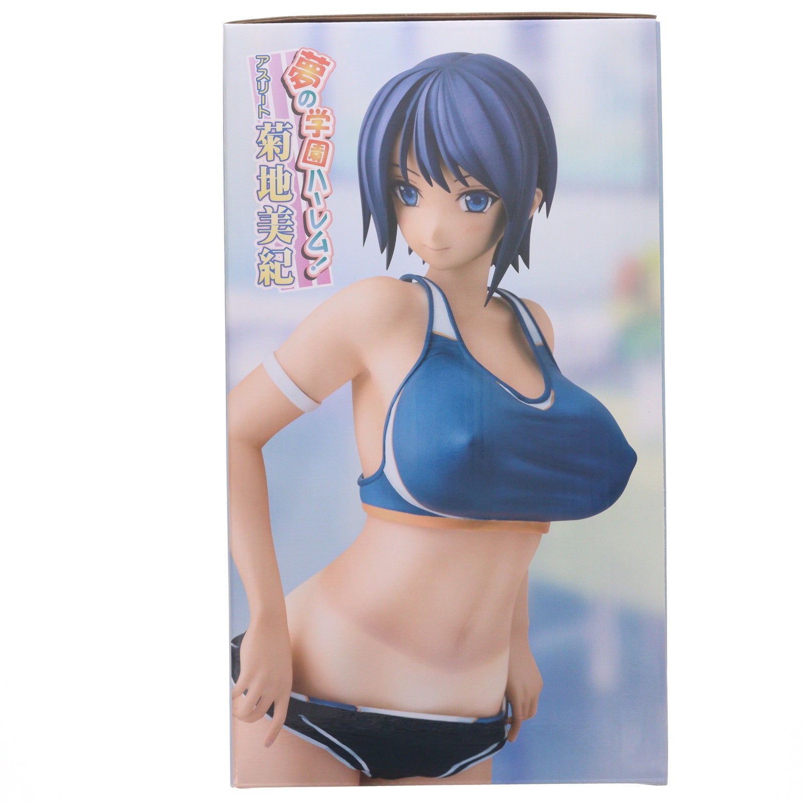【中古即納】[FIG] 夢の学園ハーレム! アスリート 菊地美紀(きくちみき) キモメンでも巨根ならスクールカーストの頂点に立てる!? ～学園一のモテカワ集団に種付けしまくり!夢の学園ハーレム!～ 1/6 完成品 フィギュア ダイキ工業(20170520)