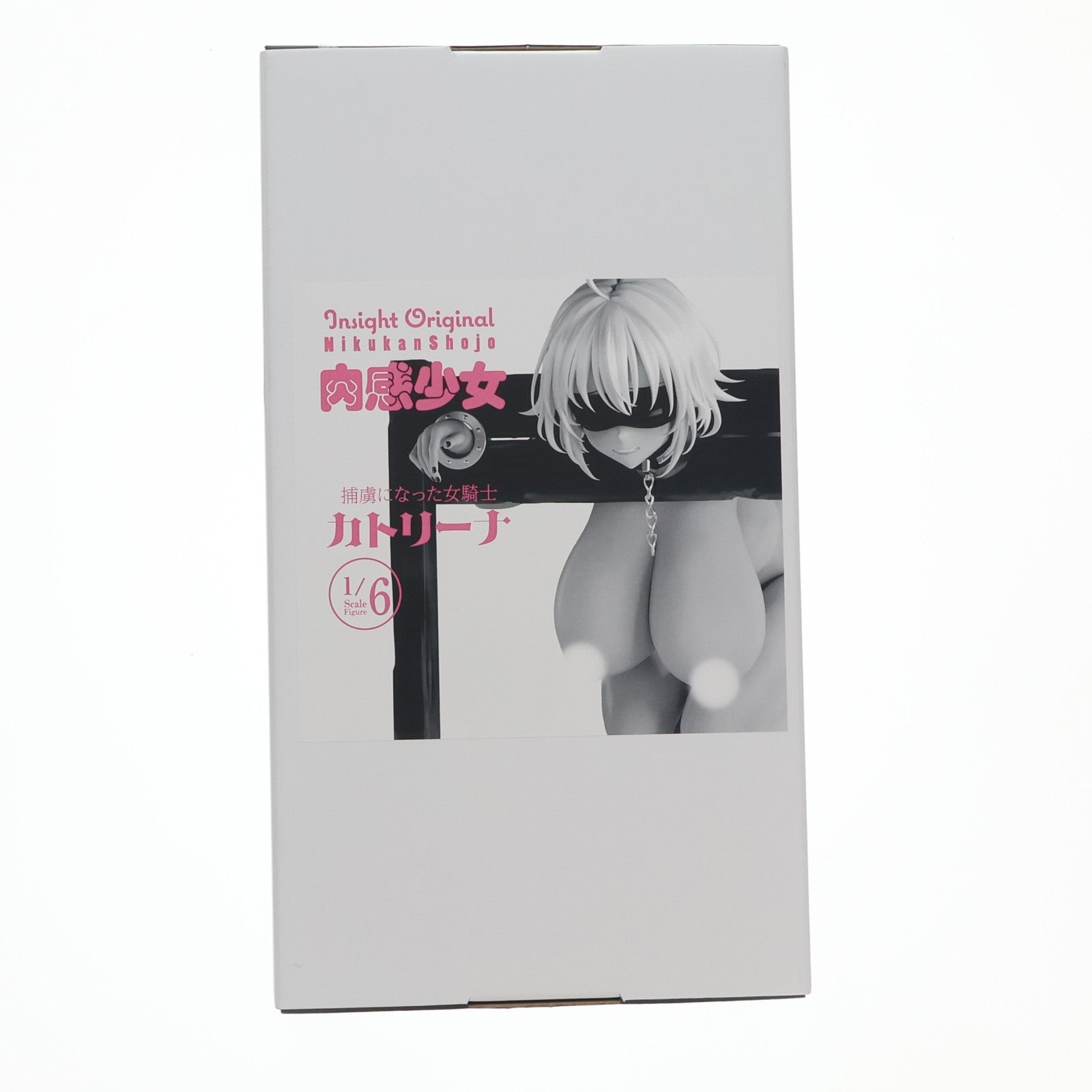 【中古即納】[FIG] 肉感少女 捕虜になった女騎士 カトリーナ 1/6 完成品 フィギュア インサイト(20250228)