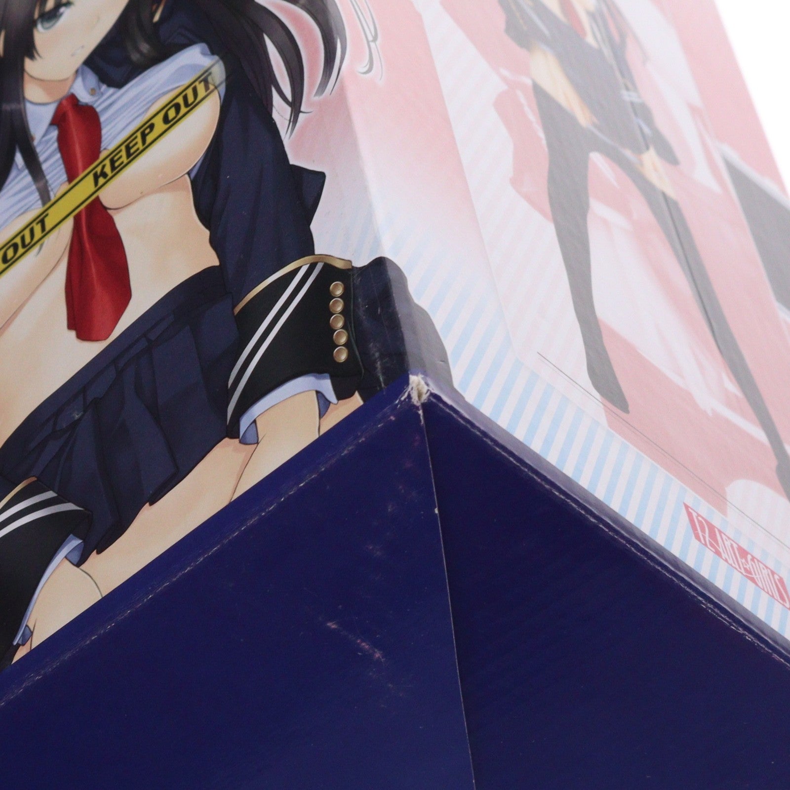 【中古即納】[FIG] T2アート☆ガールズ 特殊女警務官 MPサカキバラ(榊原梢) 1/6 完成品 フィギュア DRAGONToy(ドラゴン・トイ)(20140628)