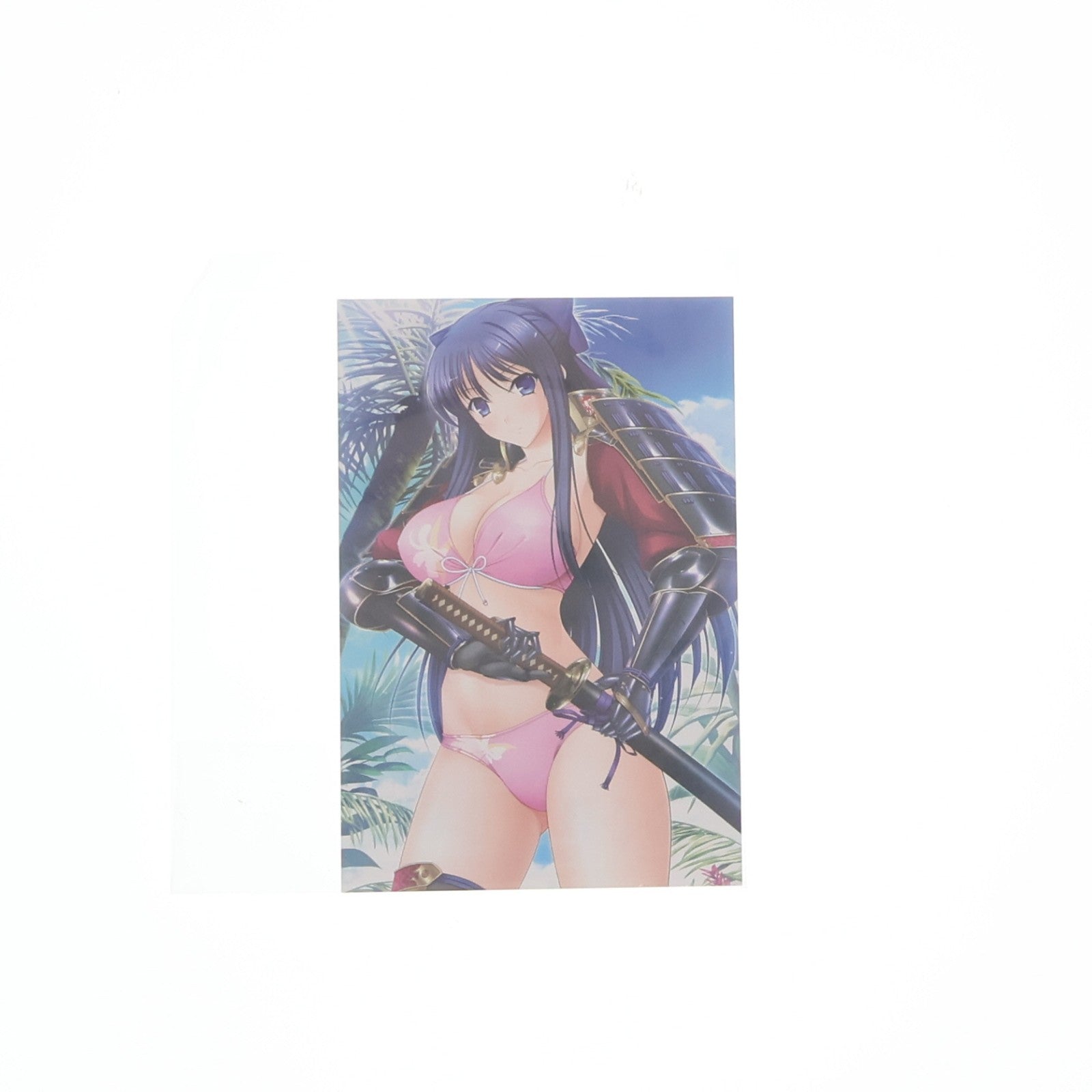 【中古即納】[FIG] ポストカード付属 龍造寺茜(りゅうぞうじあかね) ワルキューレロマンツェ[少女騎士物語] 1/5.5 完成品 フィギュア(AX-1009) SkyTube(スカイチューブ)(20160123)