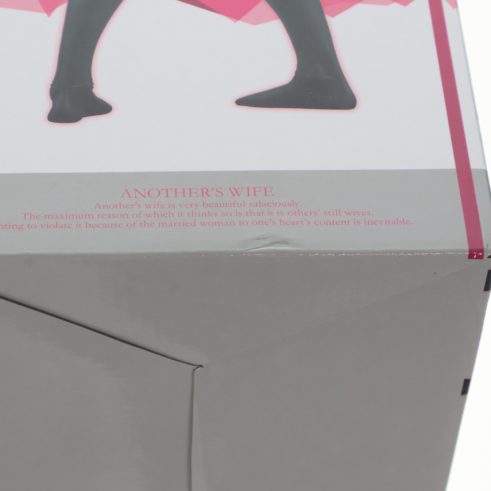 【中古即納】[FIG] 沙耶香 サヤカ&ケンゴシリーズ ヒトノツマ 1/6 完成品 フィギュア DRAGONToy(ドラゴン・トイ)(20151212)
