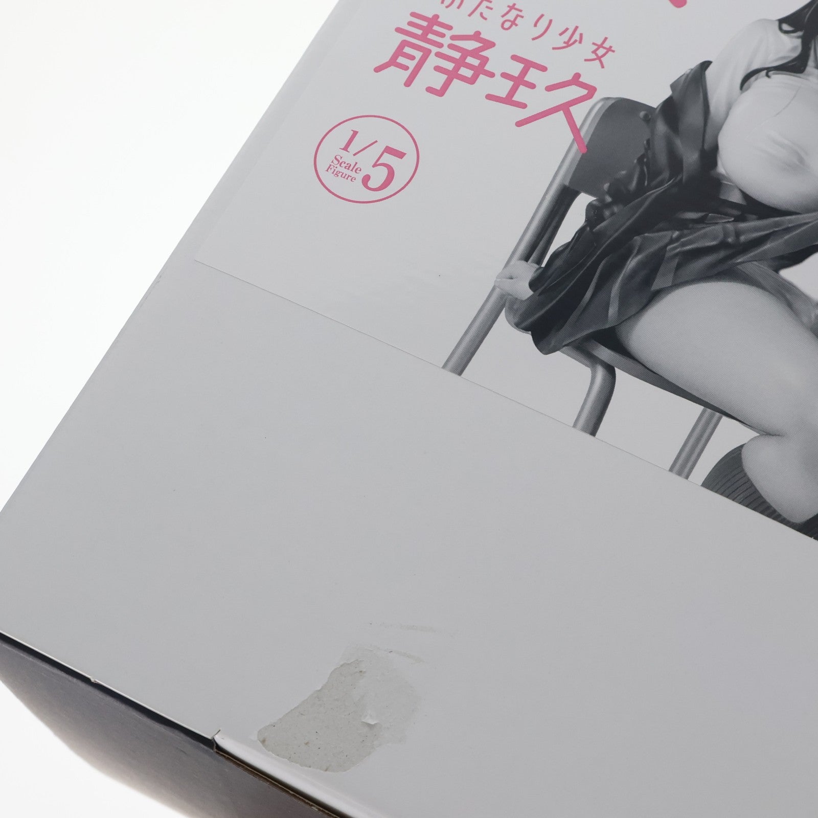 【中古即納】[FIG] 肉感少女 ふたなり少女 静玖(しずく) 1/5 完成品 フィギュア インサイト(20250930)