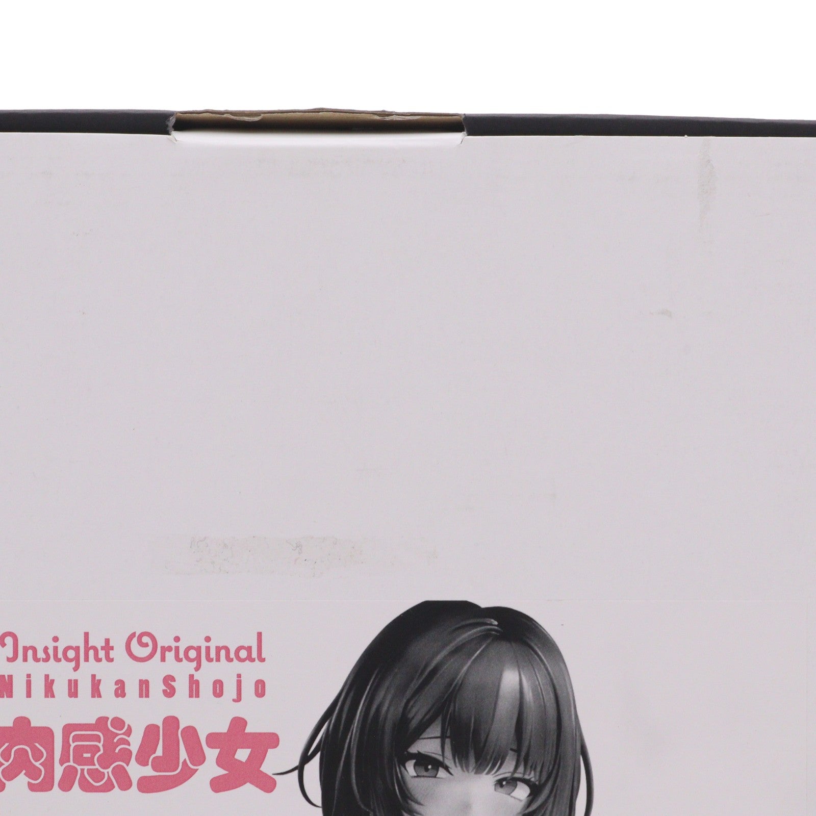【中古即納】[FIG] 肉感少女 体育のあとで 西沢さん(にしざわさん) 1/5 完成品 フィギュア インサイト(20250831)
