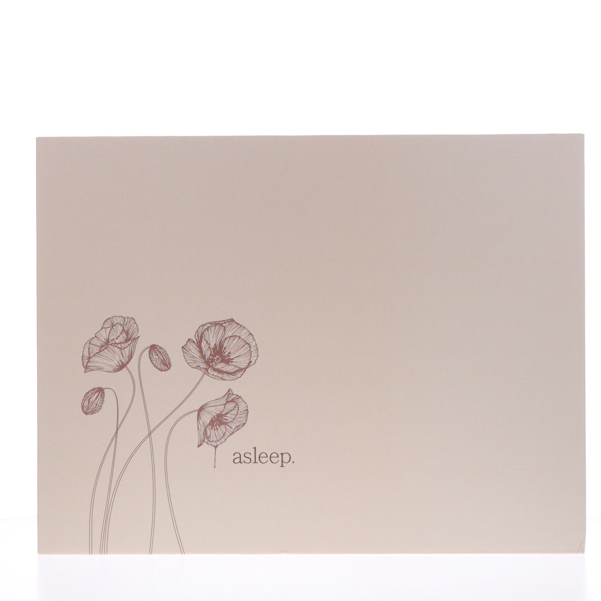 【中古即納】[FIG] ポストカード付属 ネイティブクリエイターズコレクション asleep.(アスリープ) 天三月オリジナルキャラクター 1/6 完成品 フィギュア ネイティブオンラインショップ&FANZA限定 マジックバレット/ネイティブ(20240831)