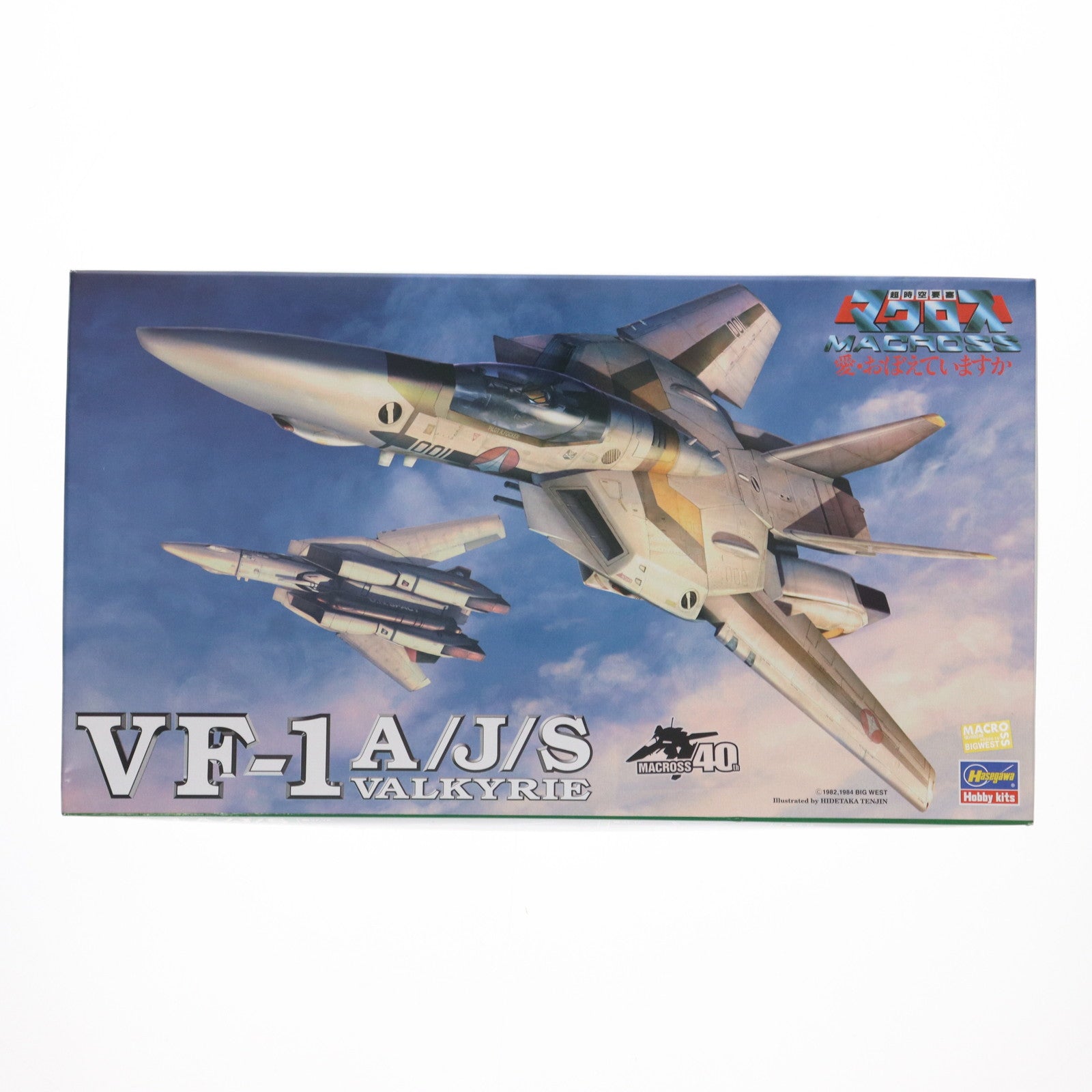 【中古即納】[PTM] 1/72 VF-1A/J/S バルキリー 超時空要塞マクロス 愛・おぼえていますか シリーズNo.19 プラモデル(65719) ハセガワ(20191231)