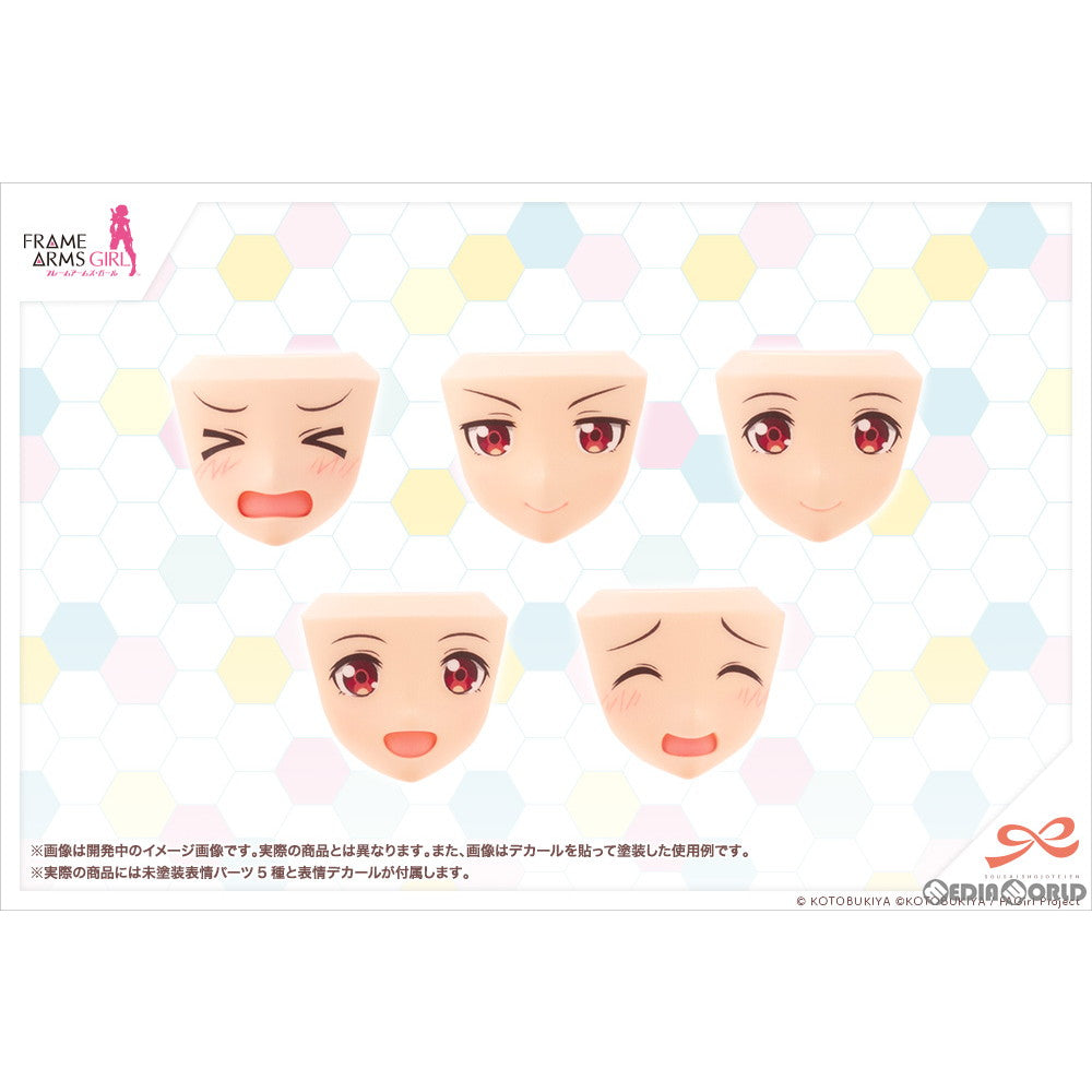 【中古即納】[PTM] 創彩少女庭園 1/10 アフタースクール 轟雷お誕生日セット フレームアームズ・ガール プラモデル(MV008) コトブキヤ(20221224)