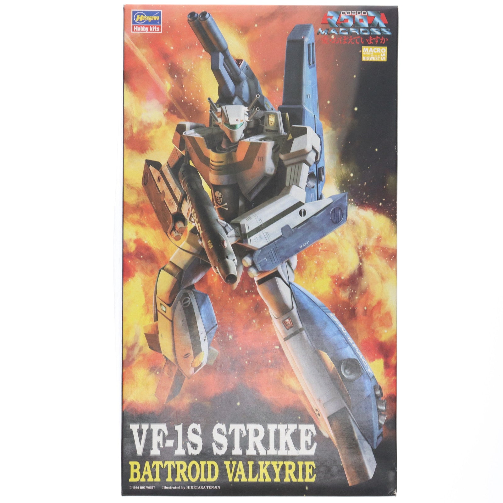 【中古即納】[PTM] 1/72 VF-1S ストライクバトロイドバルキリー 超時空要塞マクロス 愛・おぼえていますか シリーズNo.14 プラモデル(65714) ハセガワ(20191017)