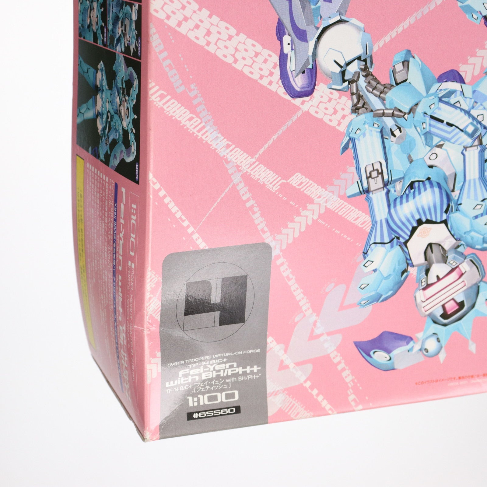 【中古即納】[PTM] 1/100 TF-14 B/C+ フェイ・イェン wirh BH/PH+ [フェティッシュ](選択式) 電脳戦機バーチャロン プラモデル(65560) ハセガワ(20110603)