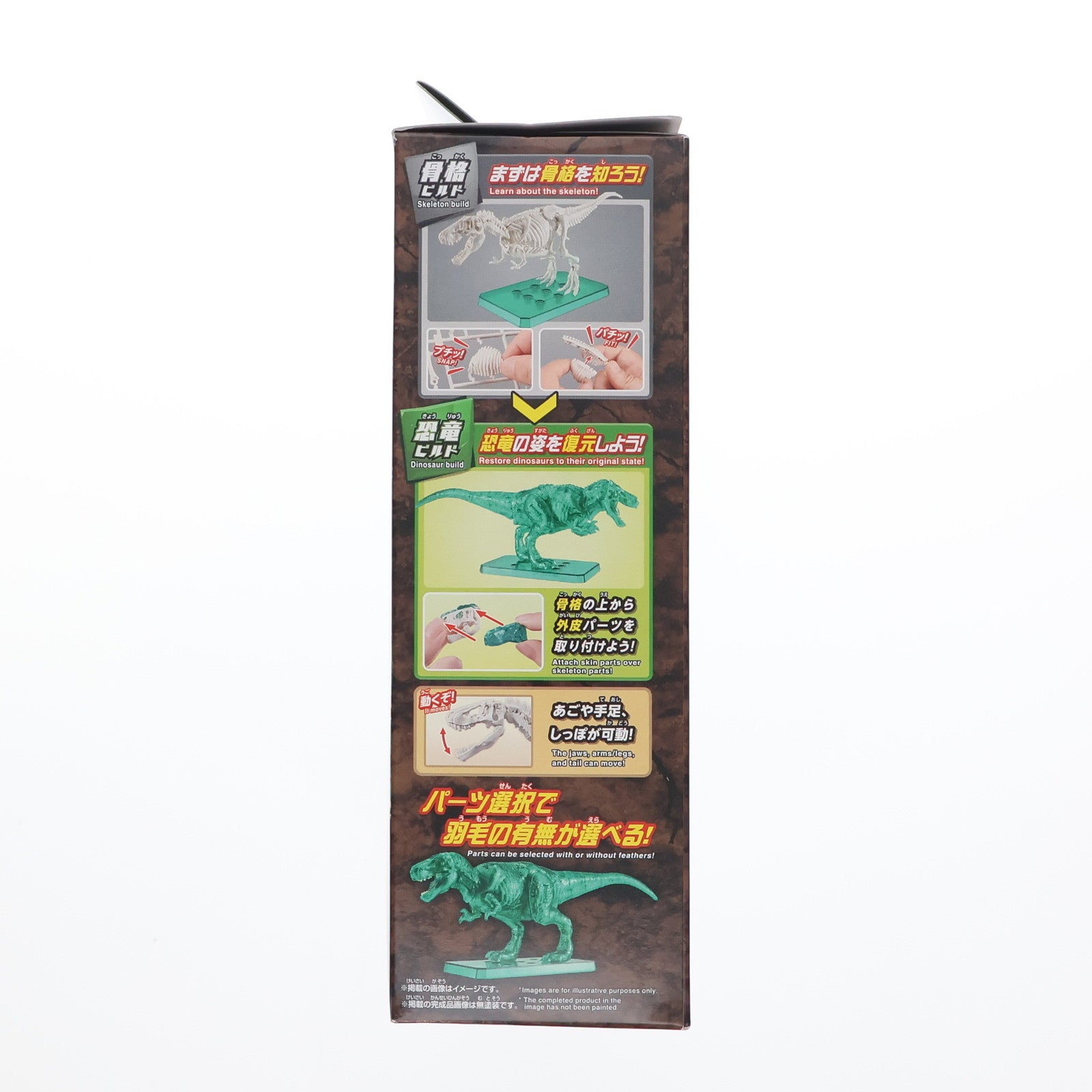 【中古即納】[PTM] (食玩) プラノサウルス入り手さげBOX(ティラノサウルス クリアグリーンVer.付属) プラモデル ハート(20241028)