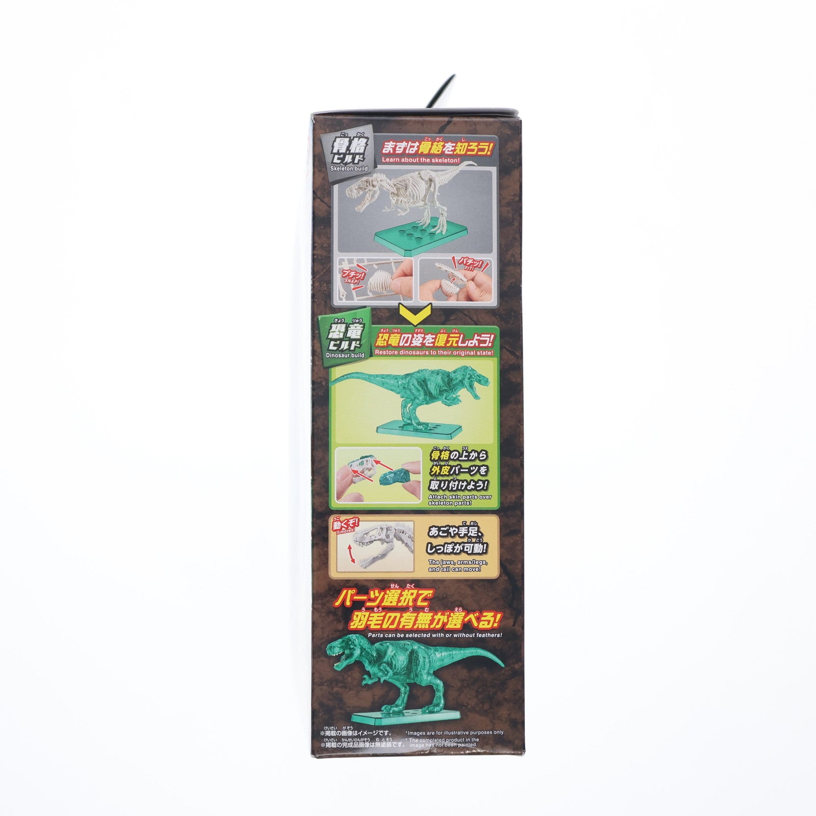【中古即納】[PTM] (食玩) プラノサウルス入り手さげBOX(ティラノサウルス クリアグリーンVer.付属) プラモデル ハート(20241028)