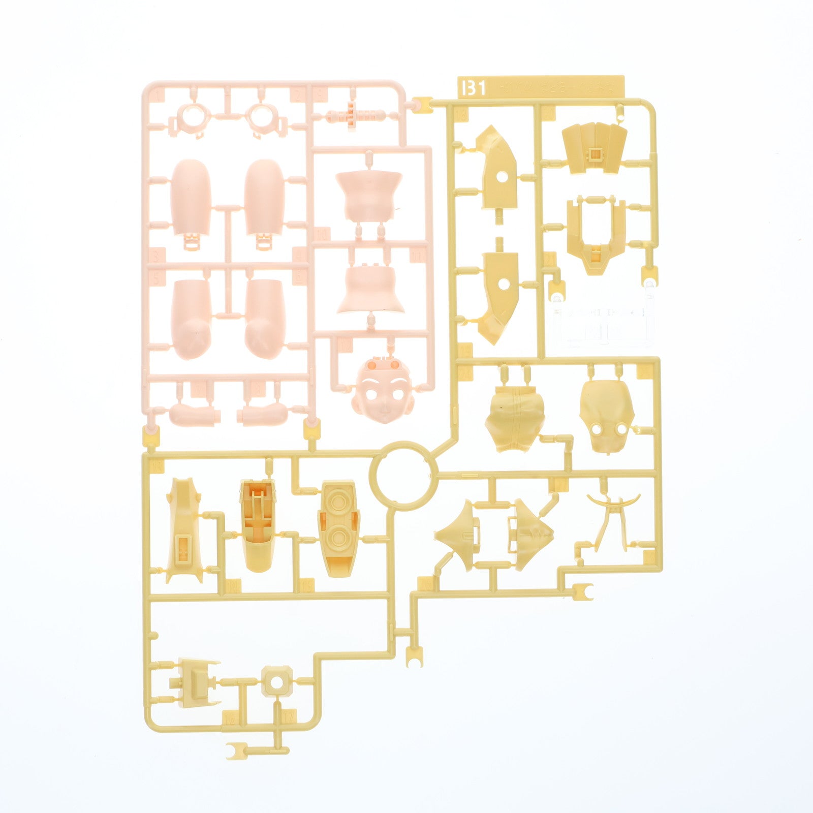 【中古即納】[PTM] HGBF 1/144 WF-01 ういにんぐふみな ガンダムビルドファイターズトライ プラモデル(0219551) バンダイ(20170930)