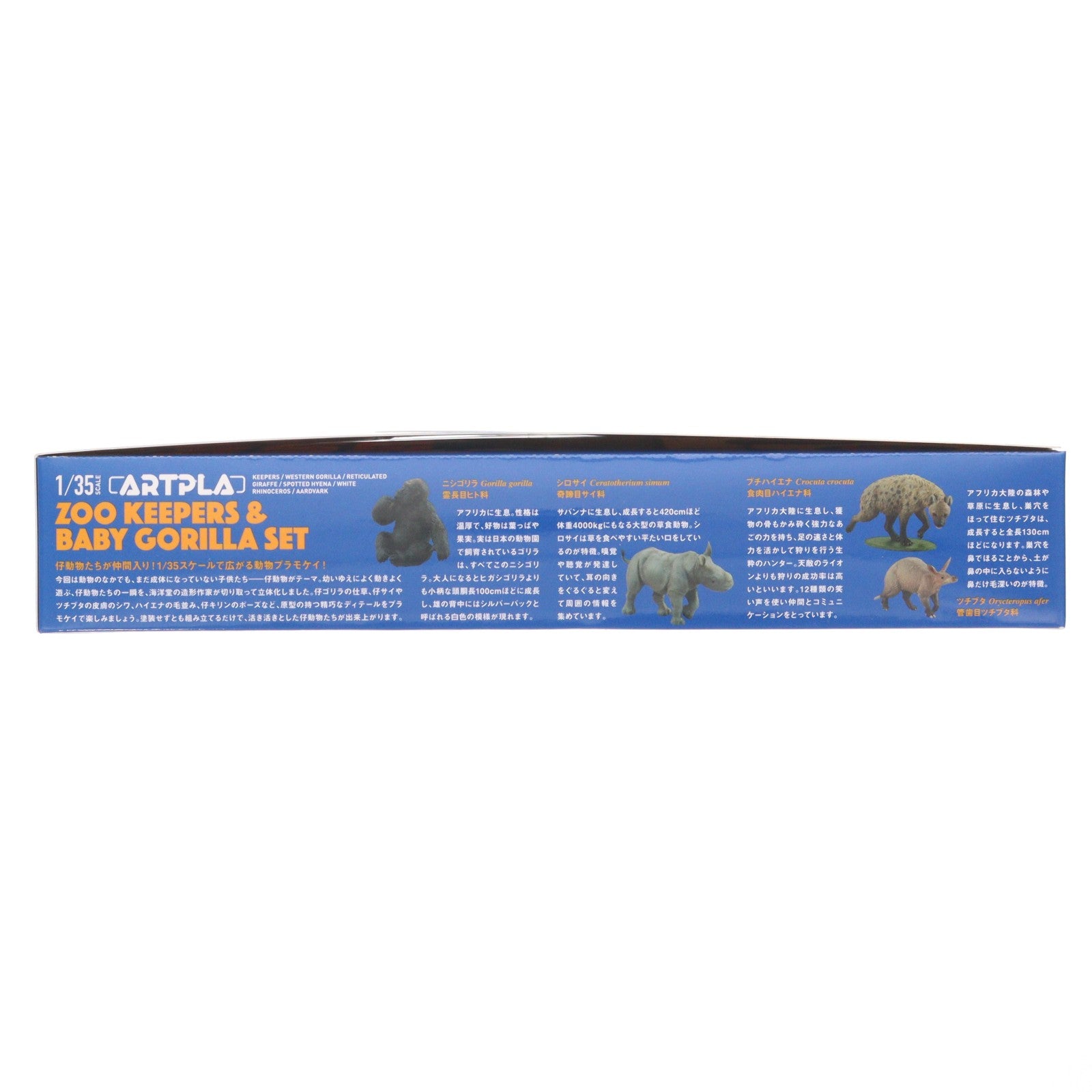 【中古即納】[PTM] (BOX) ARTPLA 1/35 飼育員と仔ゴリラセット プラモデル(AP004B)(6個) 海洋堂(20221031)