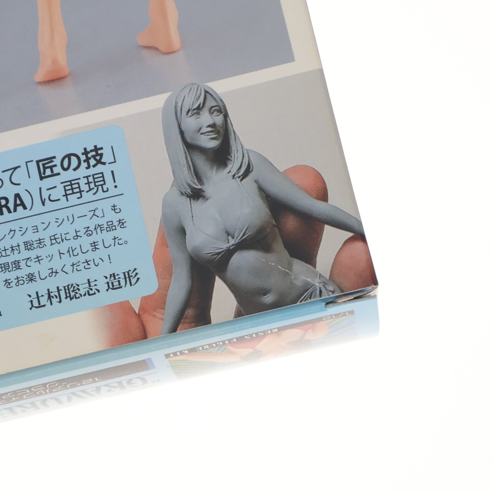【中古即納】[PTM] 12 リアルフィギュア コレクション No.07 1/12 グラビアガール Vol.2 レジンキャストキット プラモデル(SP487) ハセガワ(20210610)