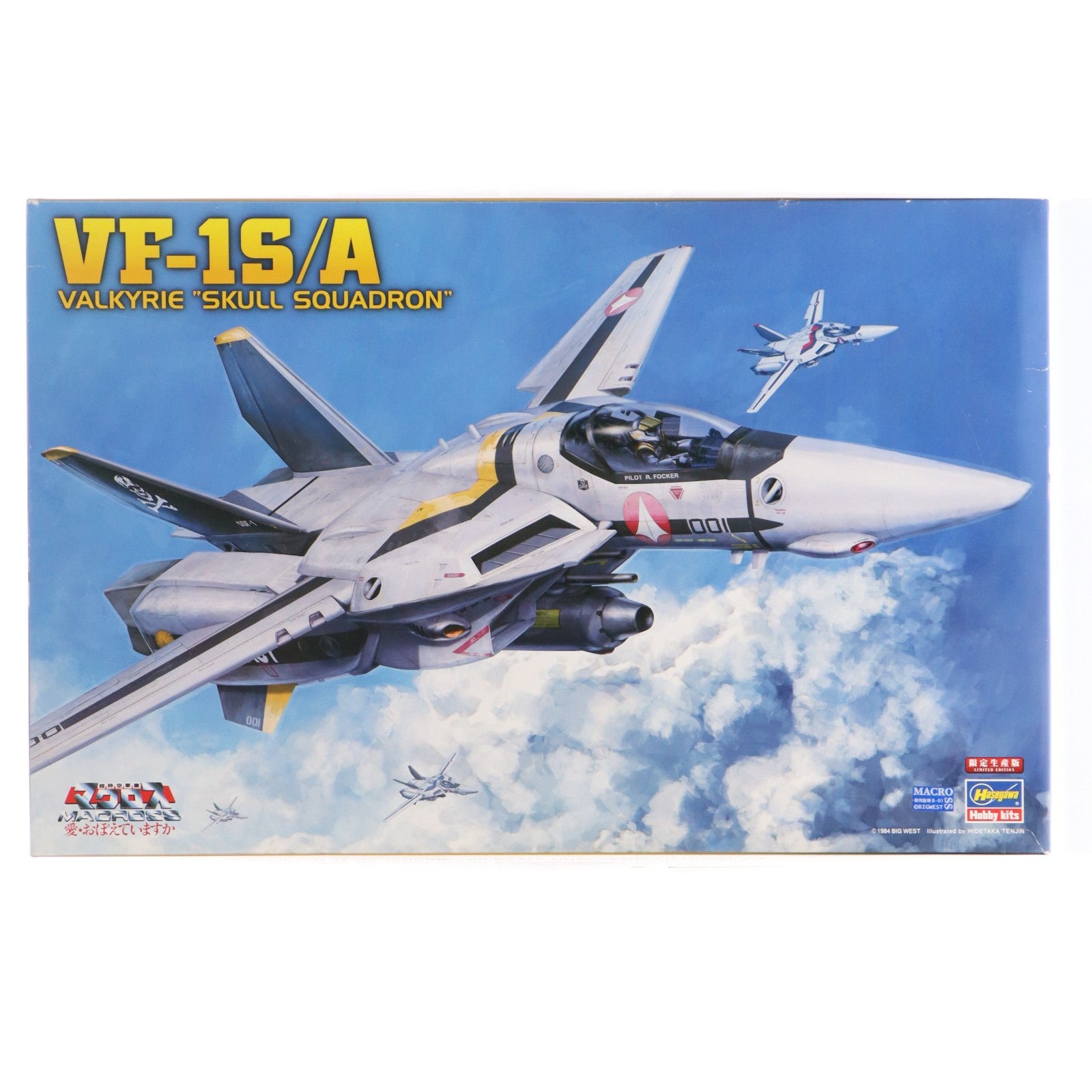 【中古即納】[PTM] 1/48 VF-1S/A バルキリー 『スカル小隊』 超時空要塞マクロス プラモデル(65792) ハセガワ(20191117)