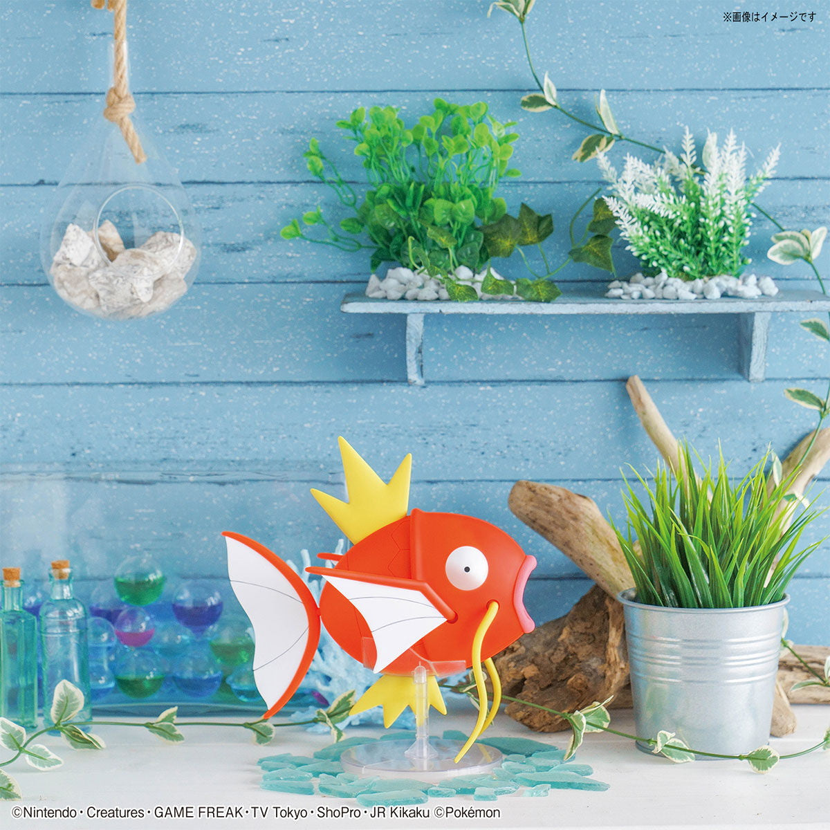 【中古即納】[PTM] (再販) ポケモンプラモコレクション BIG No.01 コイキング ポケットモンスター プラモデル(5061338) バンダイスピリッツ(20240901)