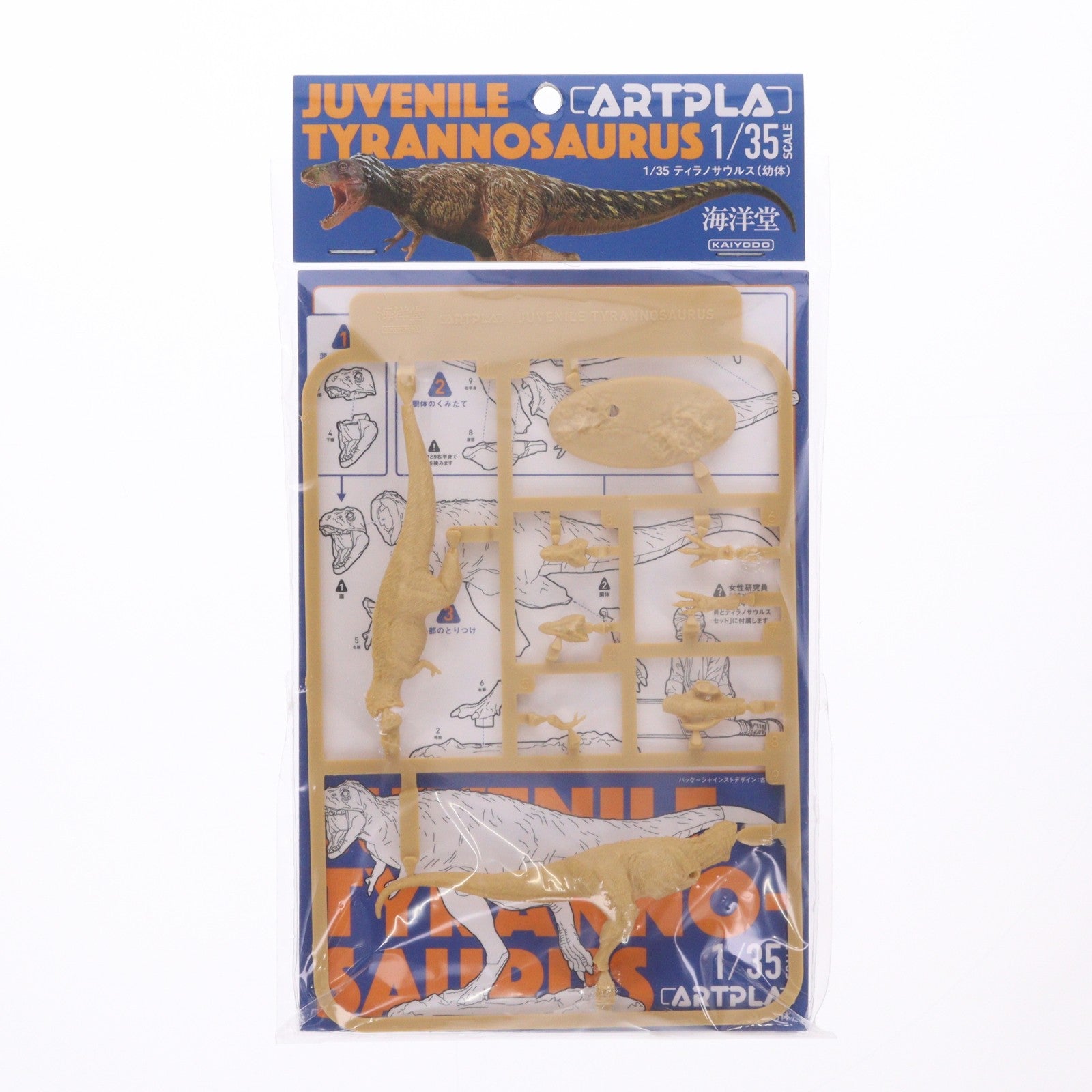 【中古即納】[PTM] ARTPLA 1/35 ティラノサウルス(幼体) プラモデル(AP033) 海洋堂(20240329)