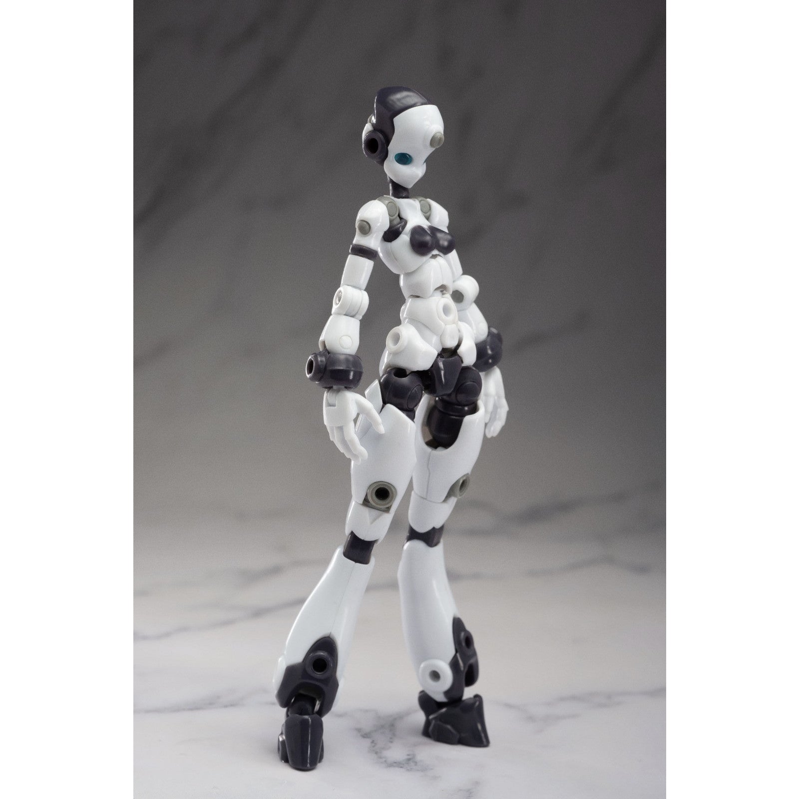 【中古即納】[PTM] Gene Interference(ジーンインターフェアランス) 1/12 QK-ST-001 プラスチックモデルキット QUANKAI Studio(ゼンカイスタジオ)(20250319)