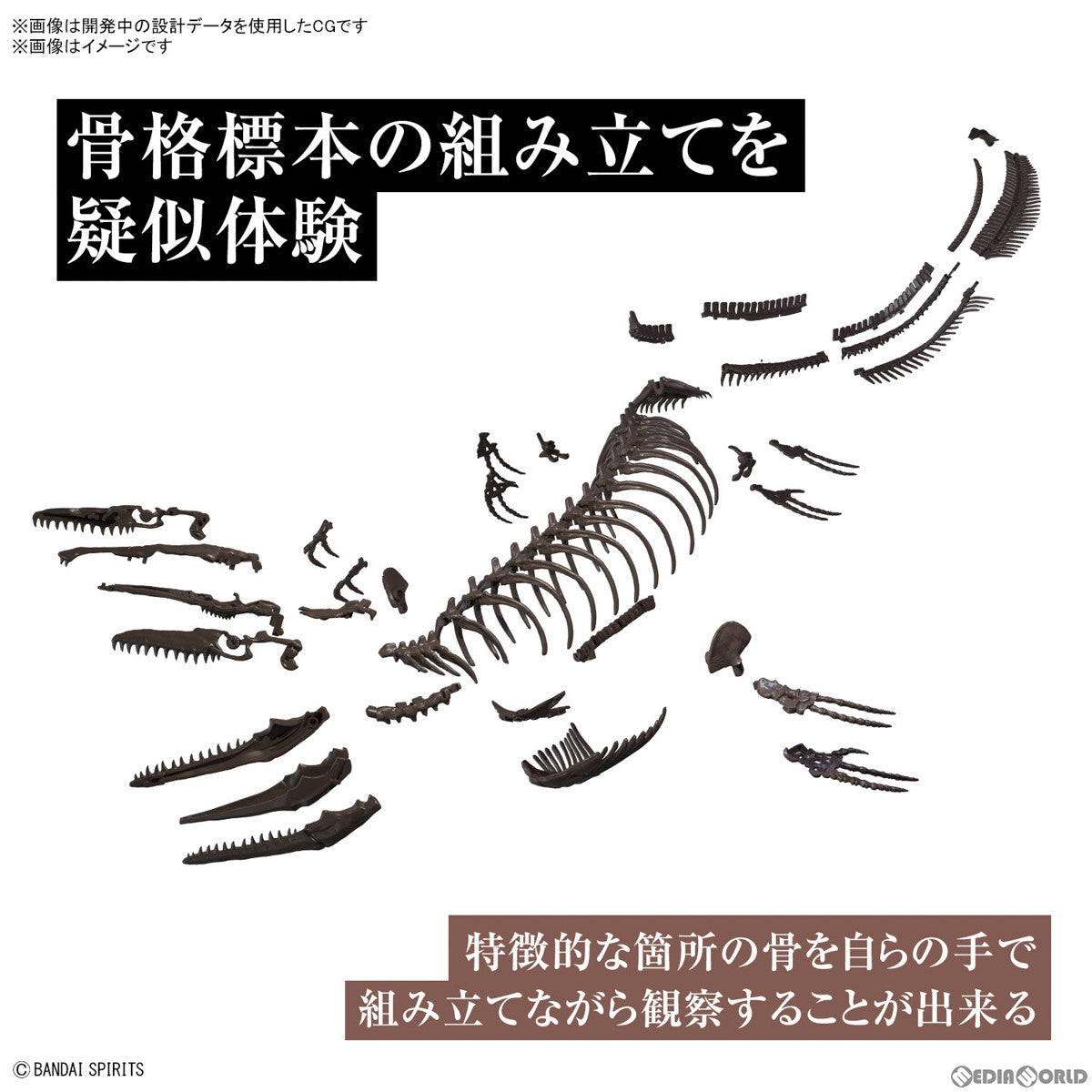 【中古即納】[PTM] 1/32 Imaginary Skeleton モササウルス プラモデル(5065428) バンダイスピリッツ(20230811)