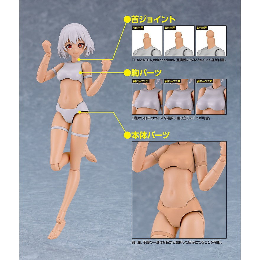 【中古即納】[PTM] PLAMATEA(プラマテア) ミューズボディ:いちか Cタイプ プラモデル グッドスマイルカンパニー(20260117)