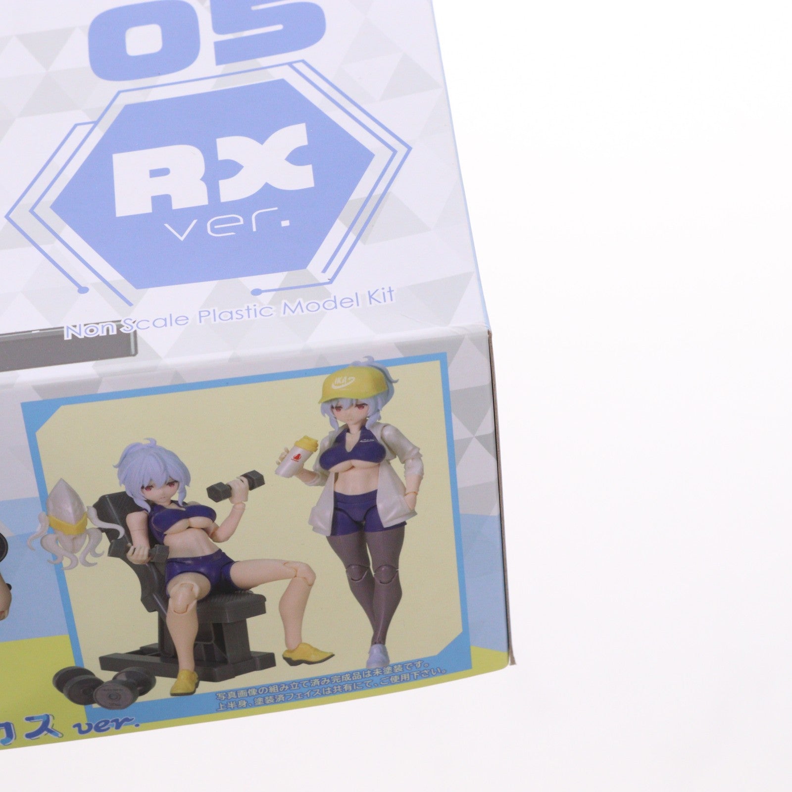 【中古即納】[PTM] DarkAdvent(ダークアドヴェント) Vol.5 ラーニア リラックス ver. プラモデル(AX-0282) アルファマックス(20241222)