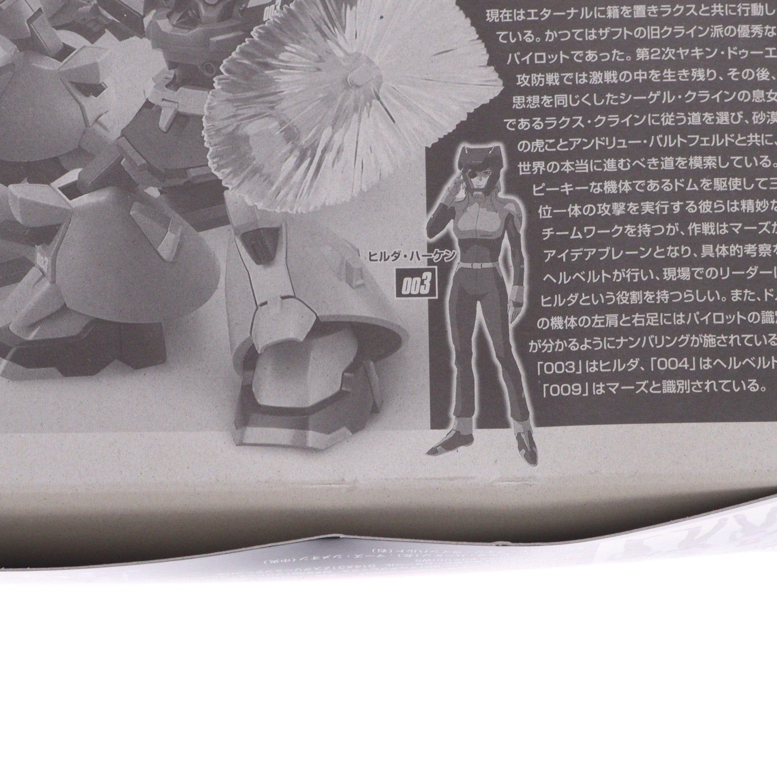【中古即納】[PTM] HG 1/144 ドムトルーパー 機動戦士ガンダムSEED DESTINY(シード デスティニー) プラモデル(0134114) バンダイ(20171202)