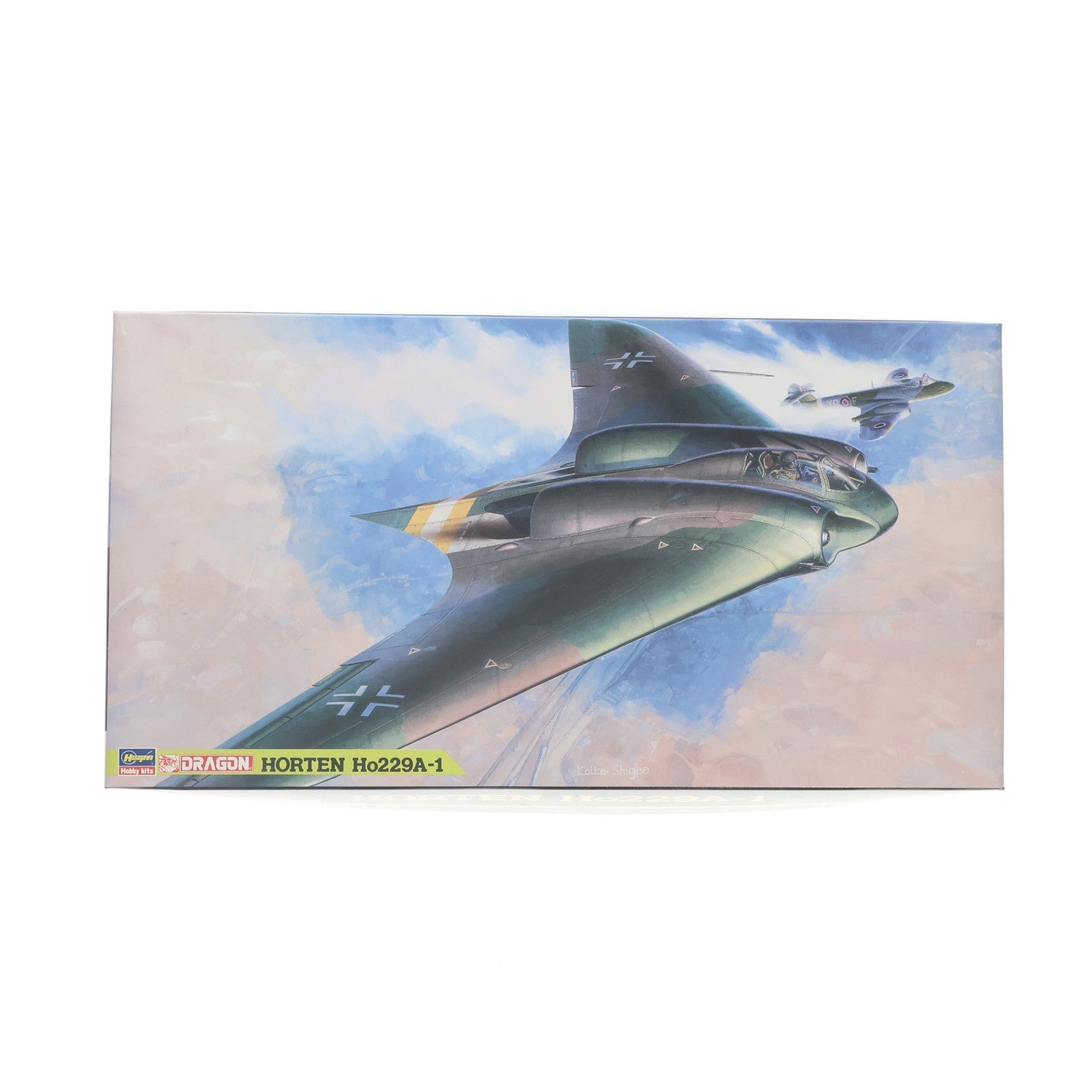 【中古即納】[PTM] 1/48 ホルテン Ho229A-1 HD6 プラモデル(86806) ハセガワ/DRAGON(ドラゴン)(19931231)