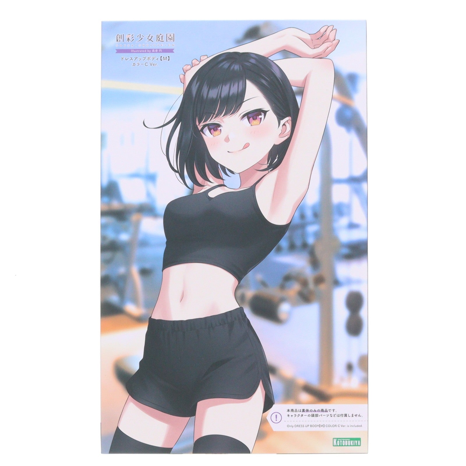 【中古即納】[PTM] 創彩少女庭園 1/10 ドレスアップボディ【M】カラーC Ver. プラモデル用アクセサリ(JK061) コトブキヤ(20250619)