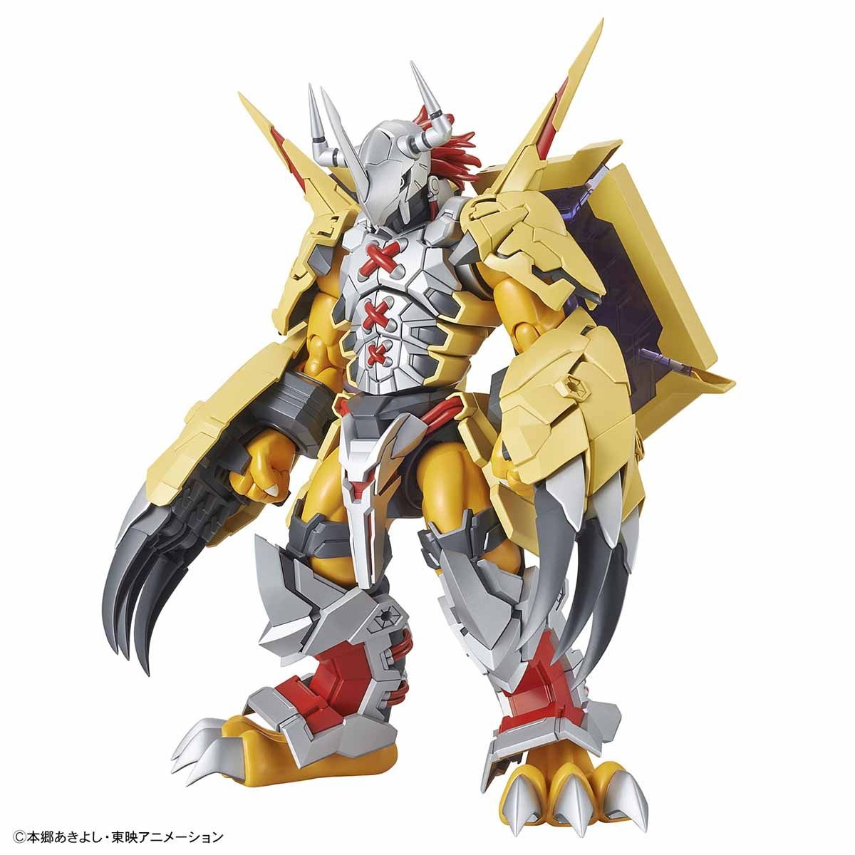 【中古即納】[PTM] (再販) Figure-rise Standard Amplified(フィギュアライズ スタンダード アンプリファイド) ウォーグレイモン デジモンアドベンチャー プラモデル(5057815) バンダイスピリッツ(20241031)