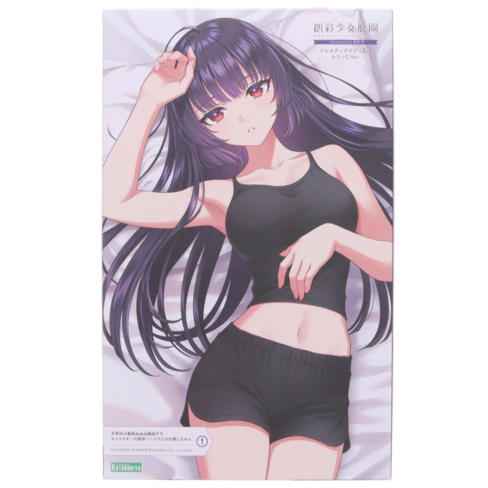 【中古即納】[PTM] 創彩少女庭園 1/10 ドレスアップボディ【L】カラーC Ver. プラモデル用アクセサリ(JK079) コトブキヤ(20260625)