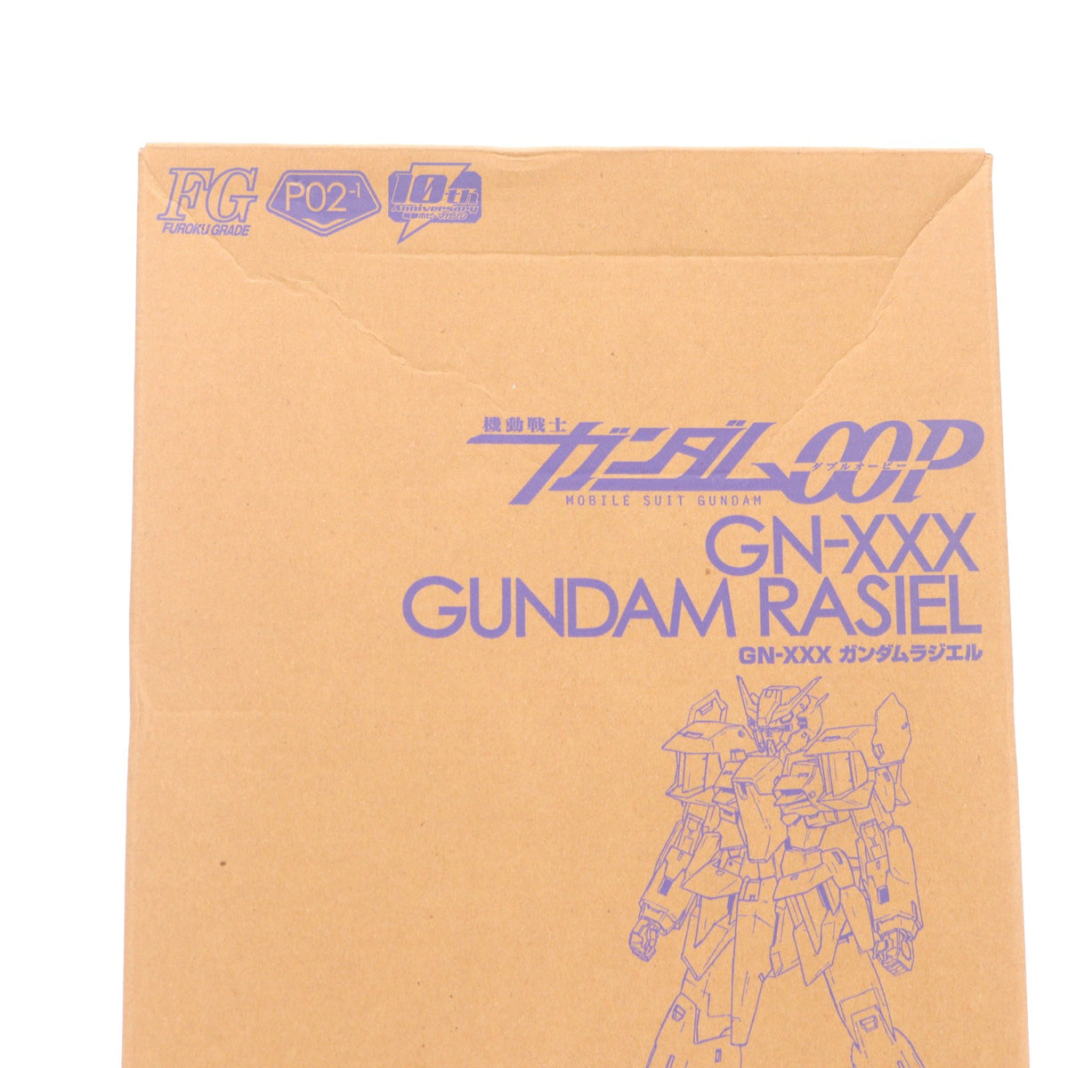 【中古即納】[PTM] (プラモデル単品) FG 1/144 GN-XXX ガンダムラジエル 機動戦士ガンダム00P(ダブルオーピー) 電撃ホビーマガジン2009年1月号付録 プラモデル バンダイ(20081125)