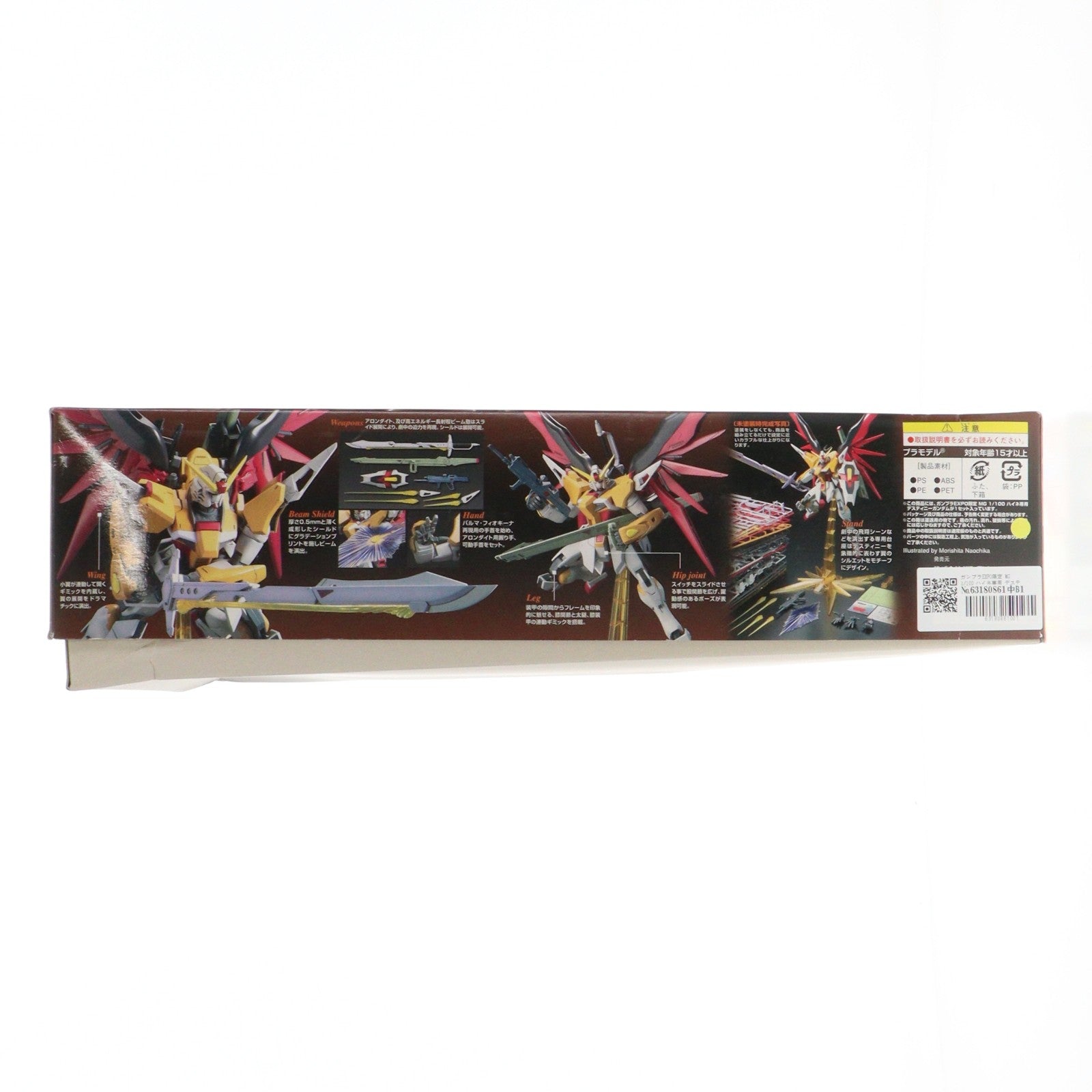 【中古即納】[PTM] ガンプラEXPO限定 MG 1/100 ハイネ専用 デスティニーガンダム 機動戦士ガンダムSEED DESTINY(シード デスティニー) プラモデル(0165315) バンダイ(20100831)