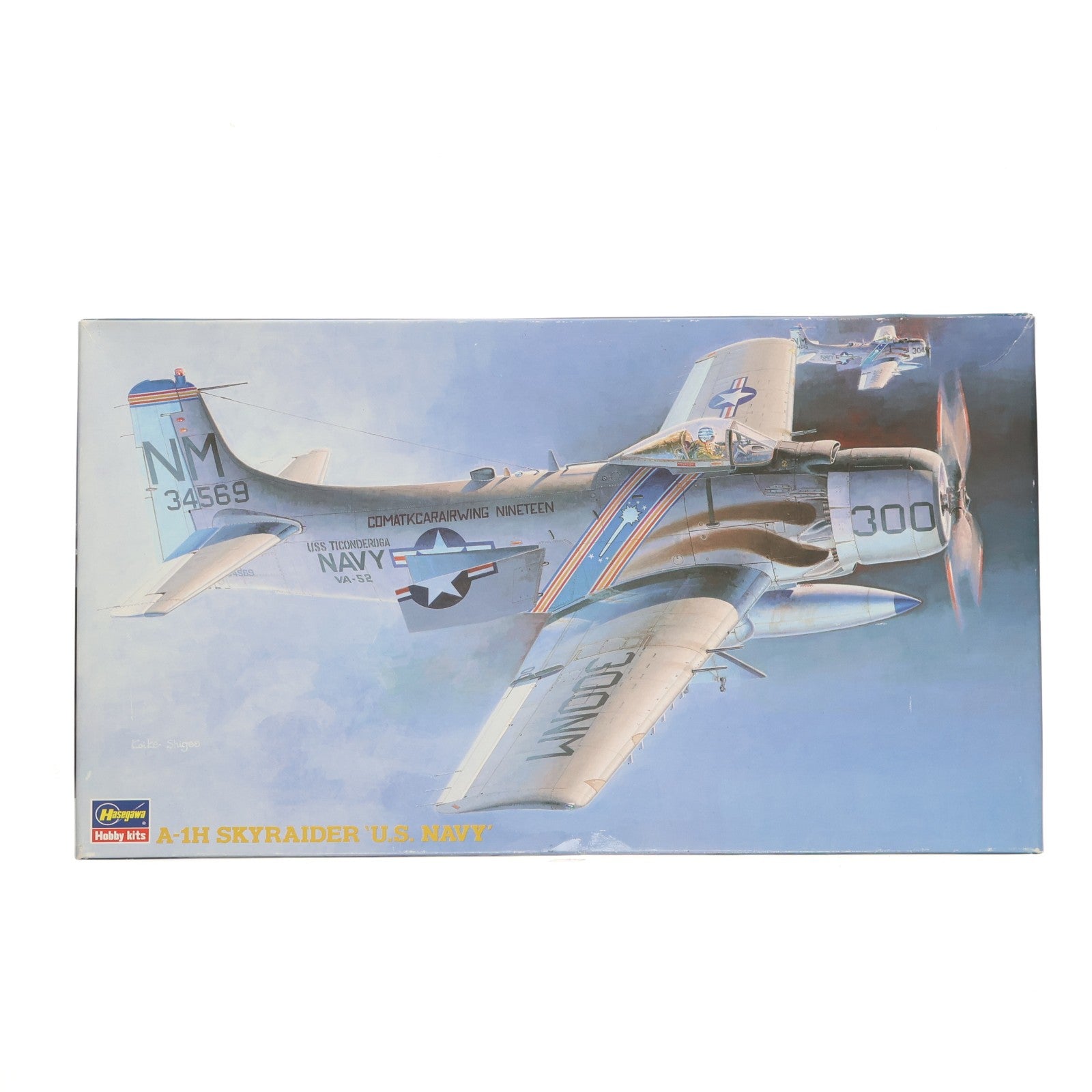 【中古即納】[PTM] 1/72 A-1H スカイレイダー U.S.ネイビー BP6 プラモデル(51406) ハセガワ(20190119)