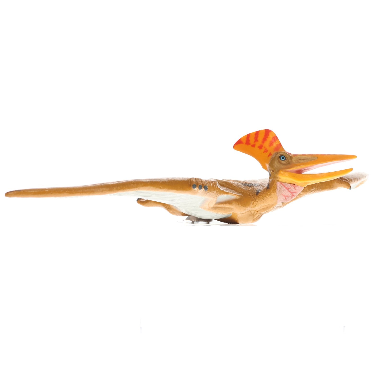 【中古即納】[SFT] プテラノドン ビニールモデル プレミアムエディション ソフビフィギュア(73355) フェバリット(20160630)