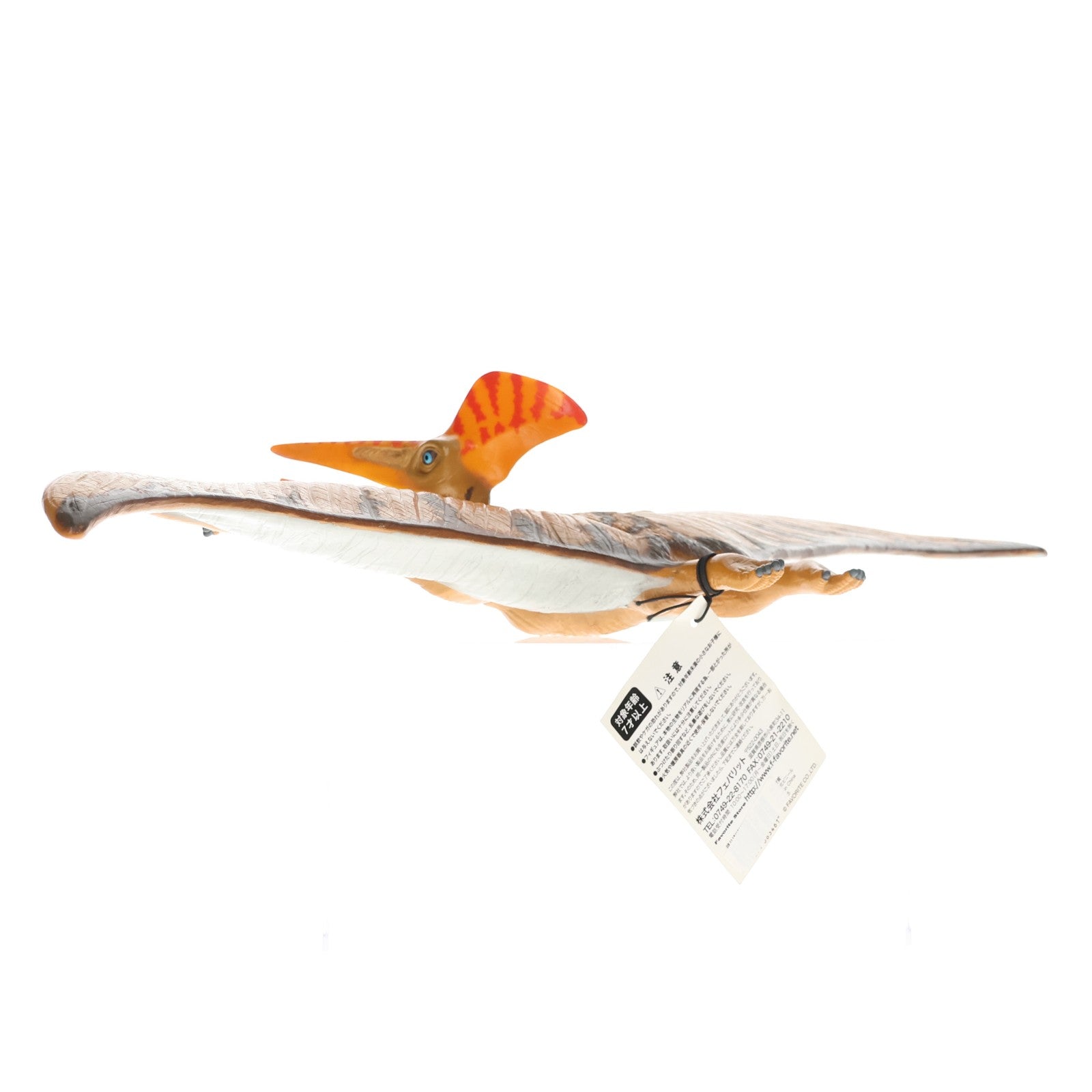【中古即納】[SFT] プテラノドン ビニールモデル プレミアムエディション ソフビフィギュア(73355) フェバリット(20160630)