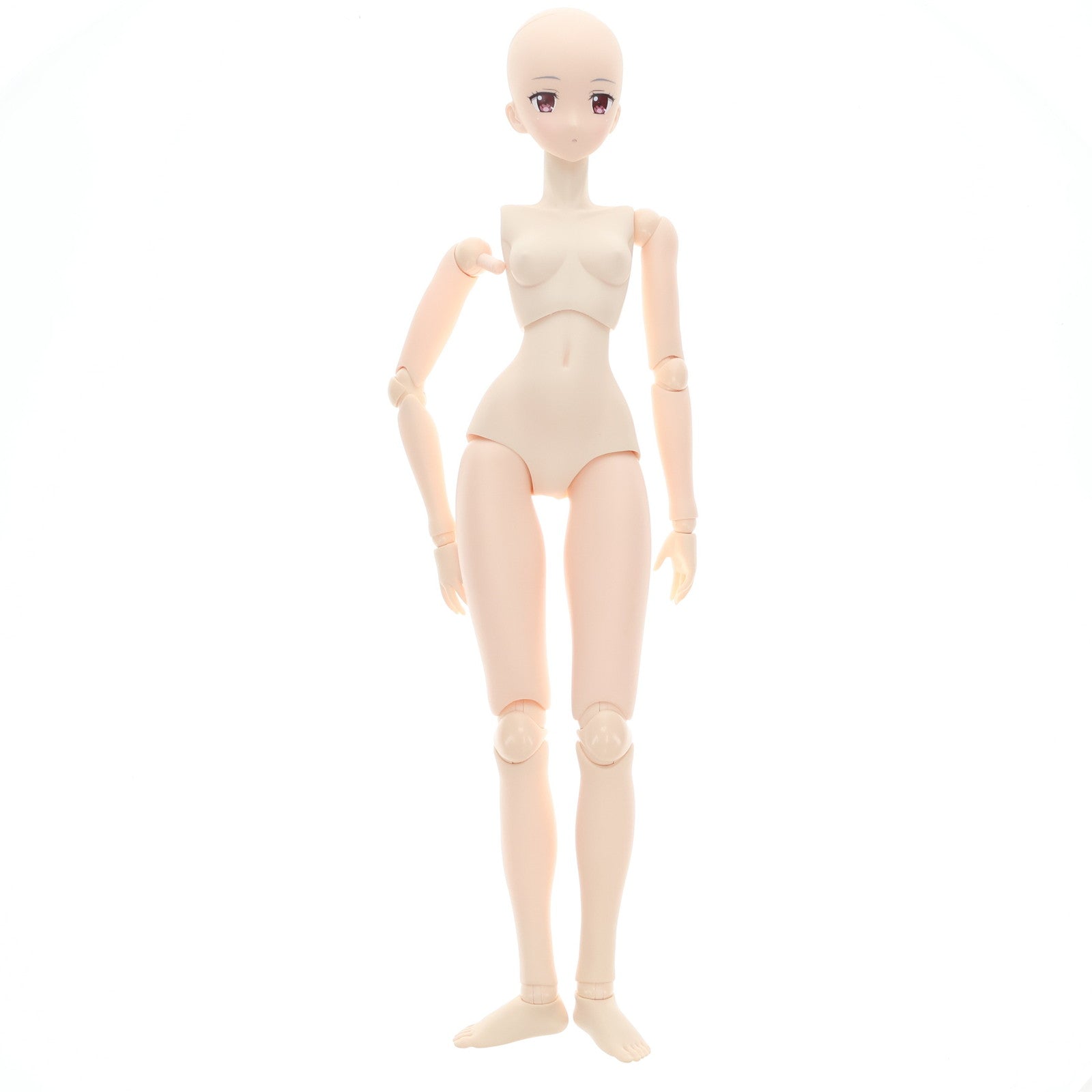 【中古即納】[DOL] ハイブリッドアクティブフィギュア No.065 橘瑠衣(たちばなるい) ドメスティックな彼女 1/3 完成品 ドール(HAC665-TRI) アゾン(20190831)